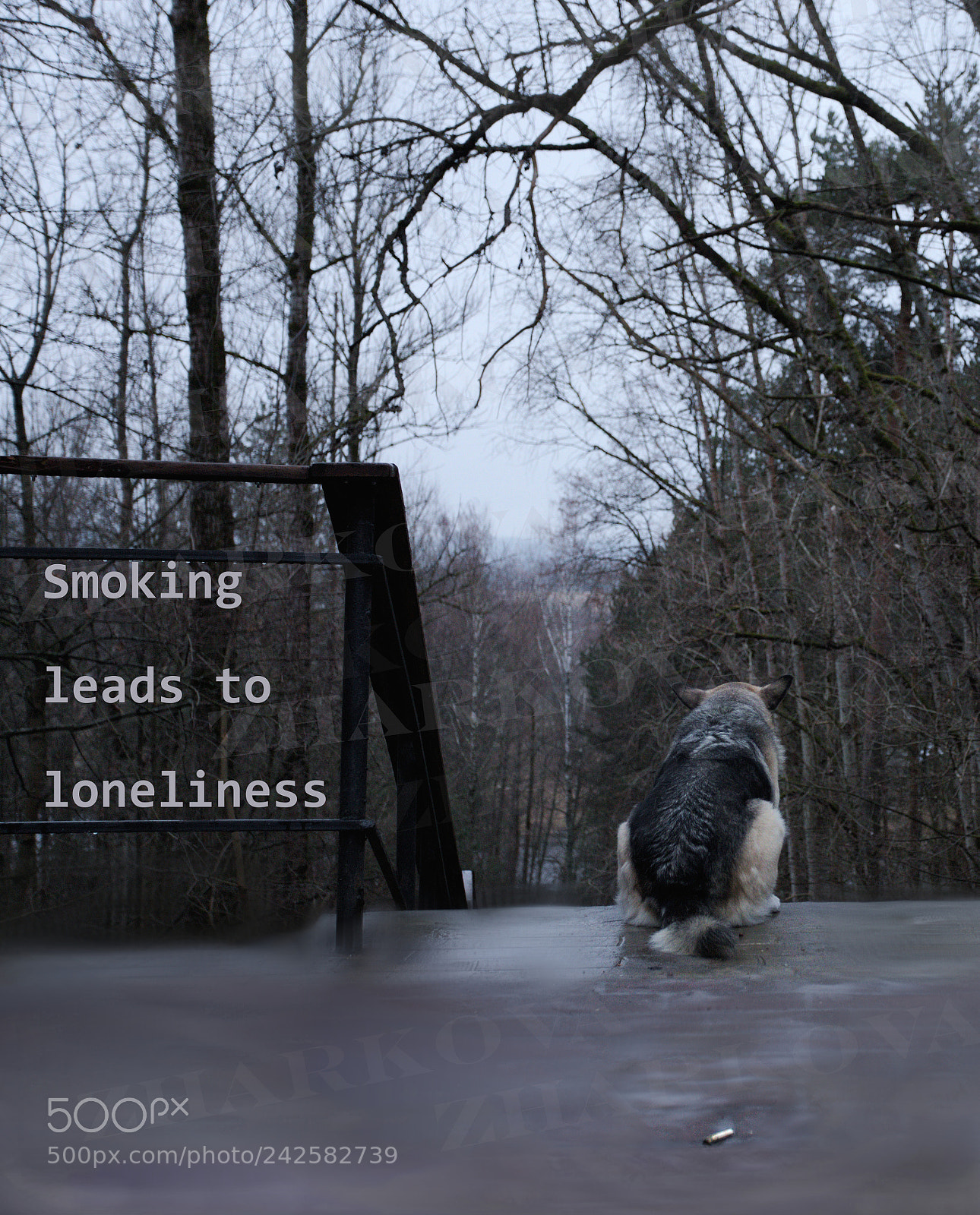 Canon EOS 6D Mark II sample photo. Smoking leads to loneliness photography