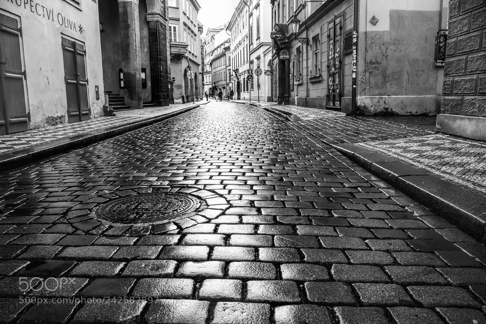 Nikon D810 sample photo. The streets of prague photography