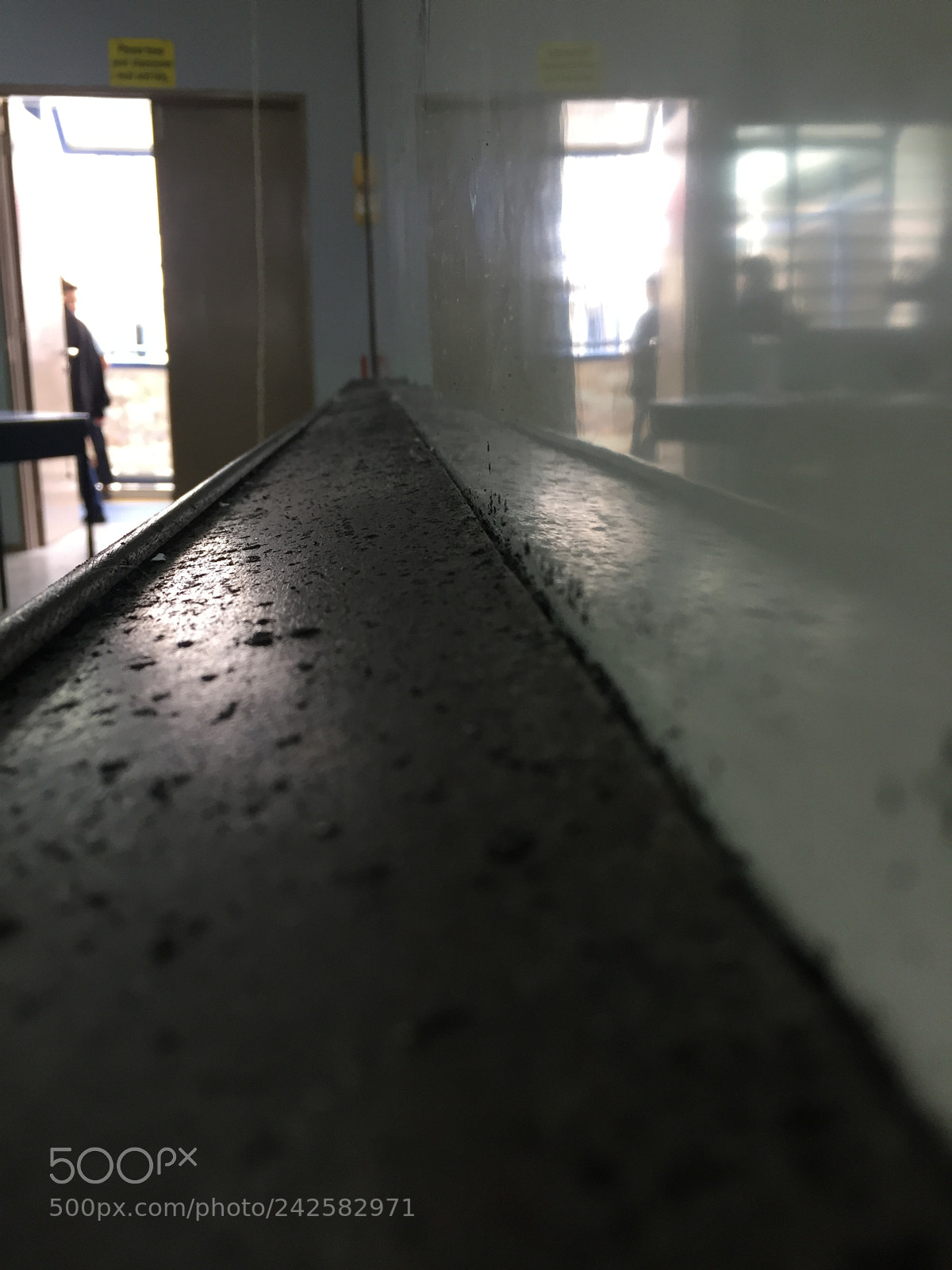 Apple iPhone 6 sample photo. 1 view-point(8) photography