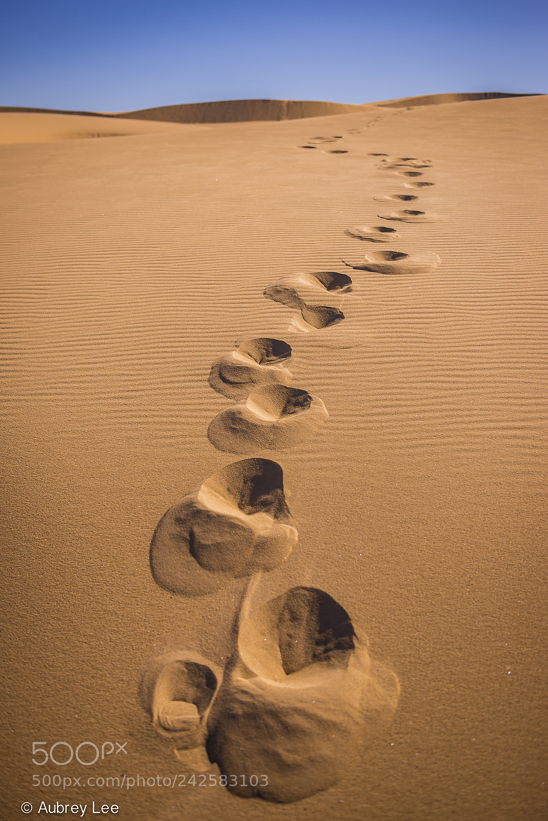 Nikon D610 sample photo. Footsteps photography