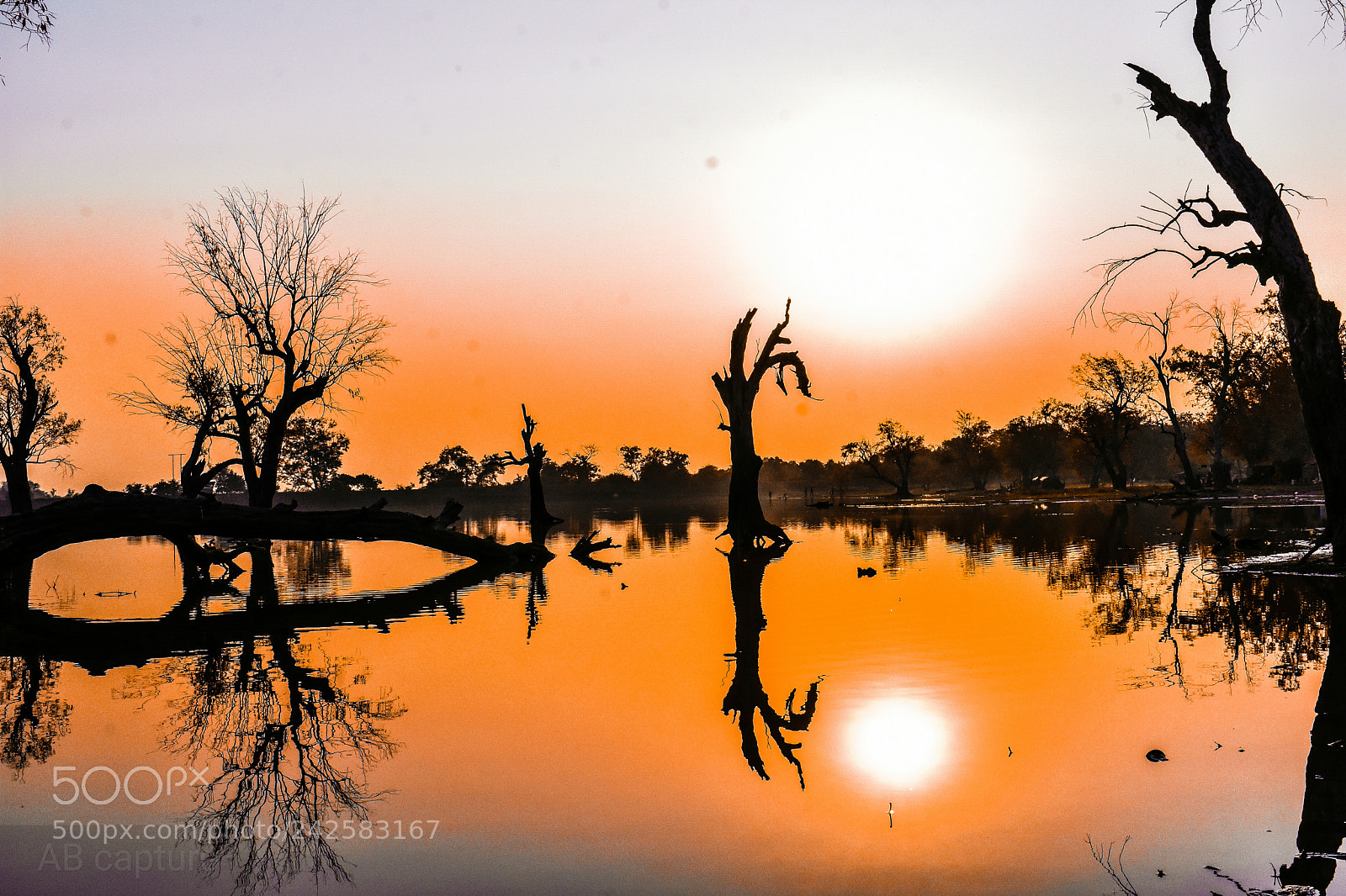 Nikon D3400 sample photo. Sun light photography