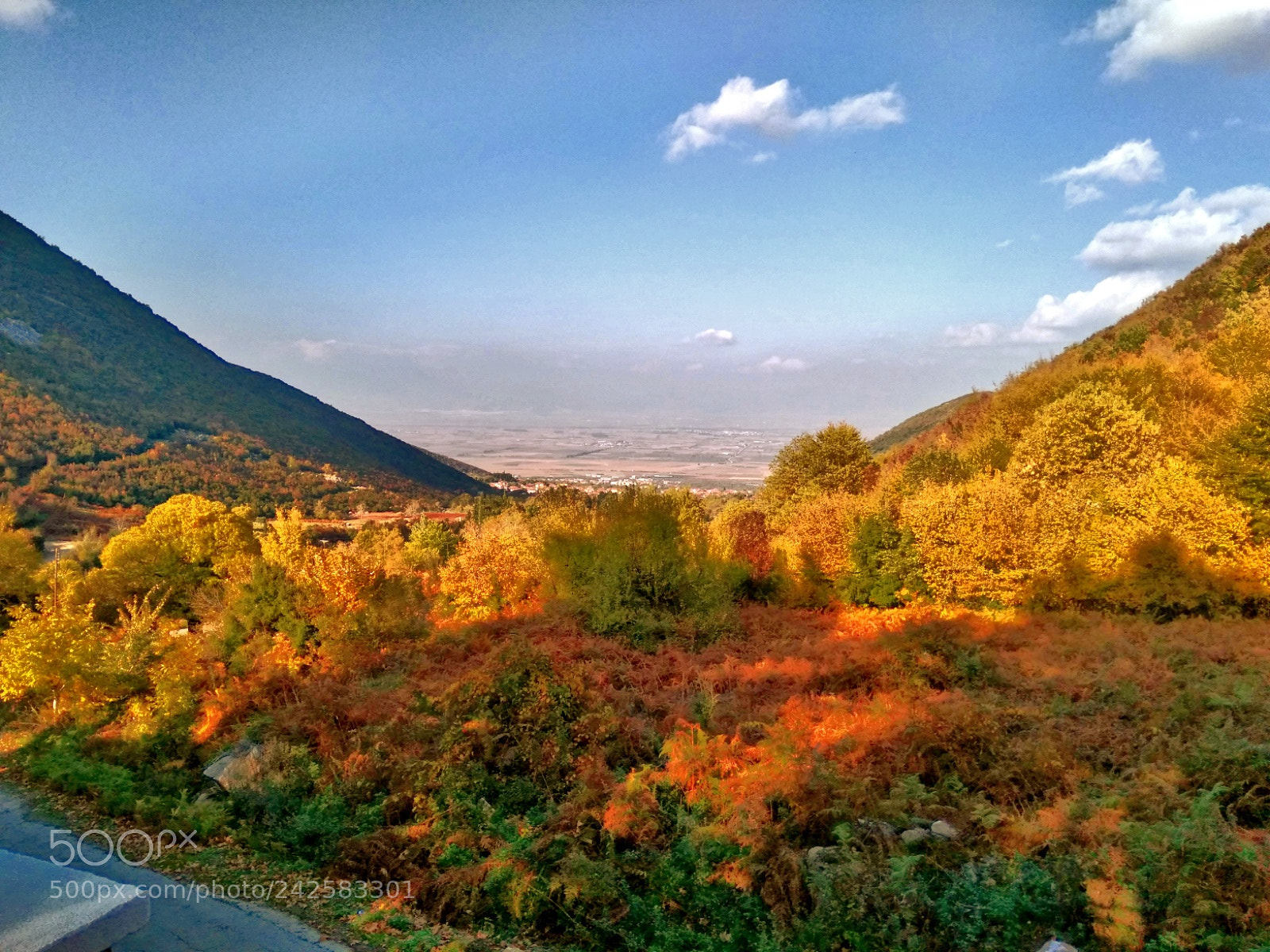 Xiaomi Redmi Note 4 sample photo. Untitled photography