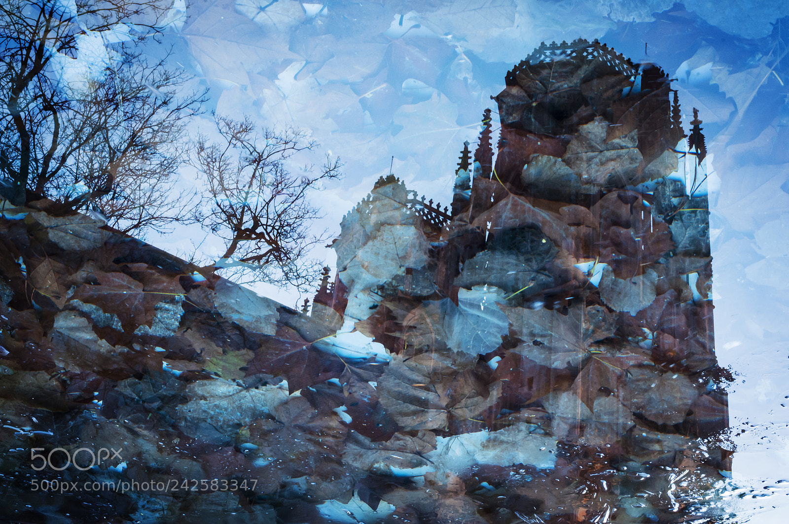 Nikon D300S sample photo. Aquatic reflection of the photography