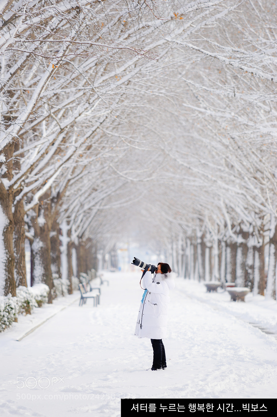 Sony SLT-A99V sample photo. Winter story photography