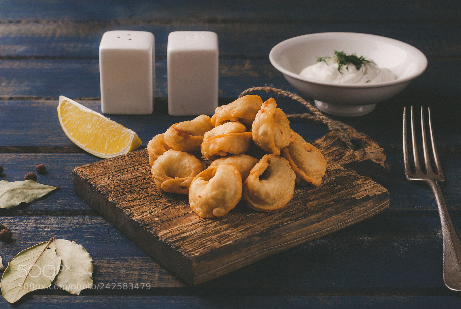 Nikon D200 sample photo. Fried dumplings photography