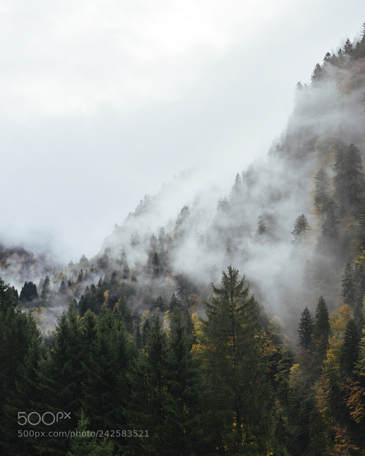 Sony a6300 sample photo. Foggy mountains photography
