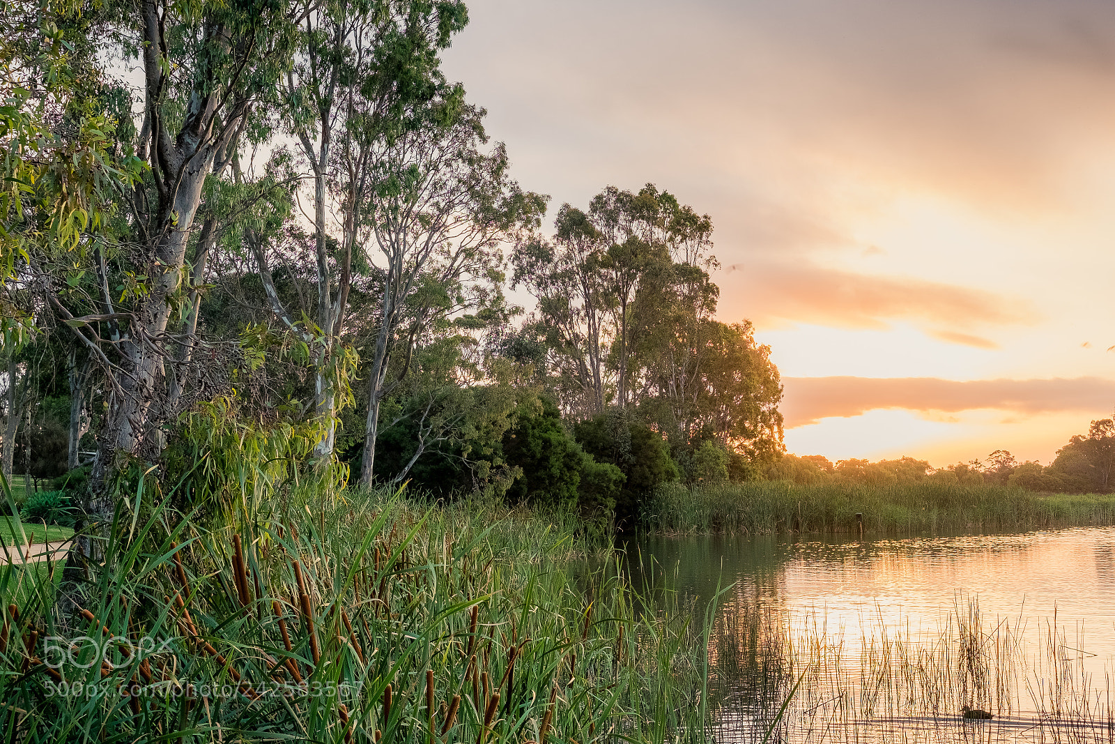 Fujifilm X-T10 sample photo. Sunset by the lake photography