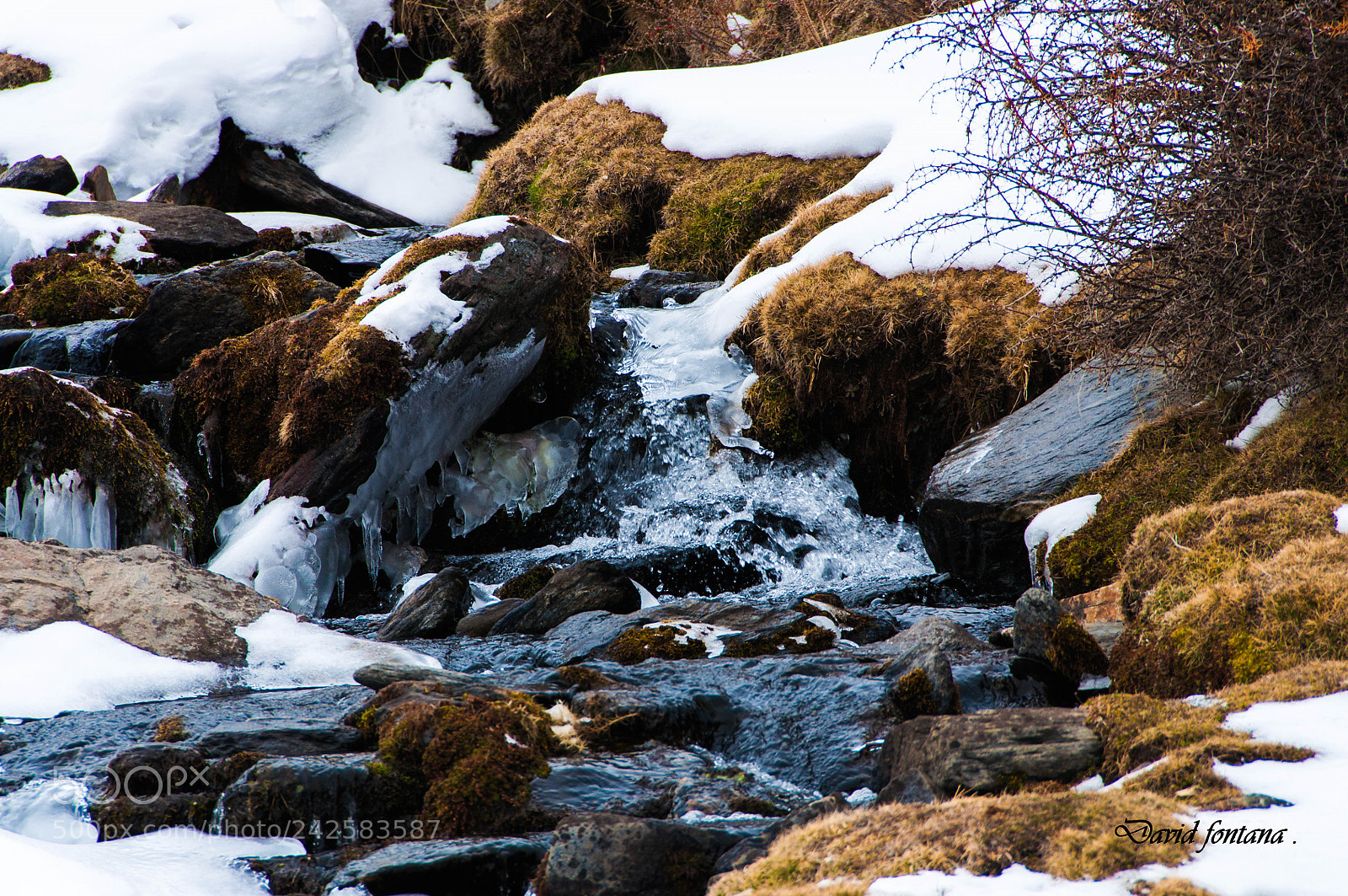 Nikon D90 sample photo. 3.jpg photography