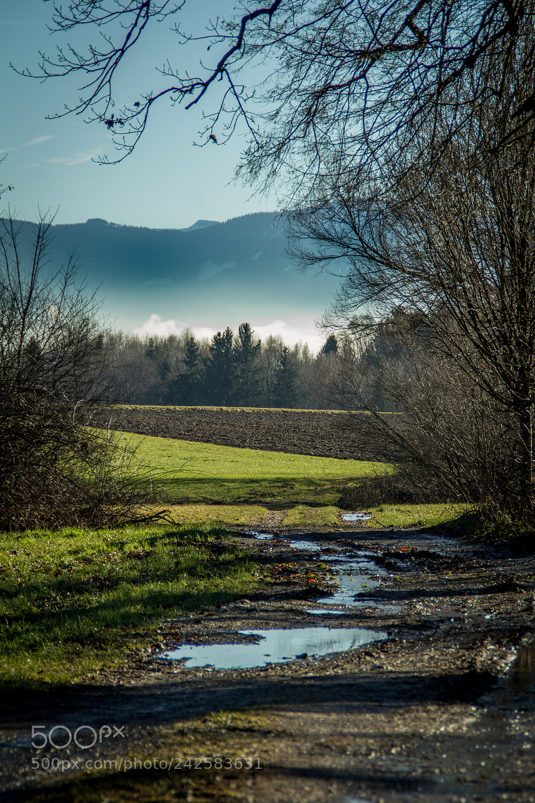 Canon EOS 60D sample photo. Bavarian winter morning photography