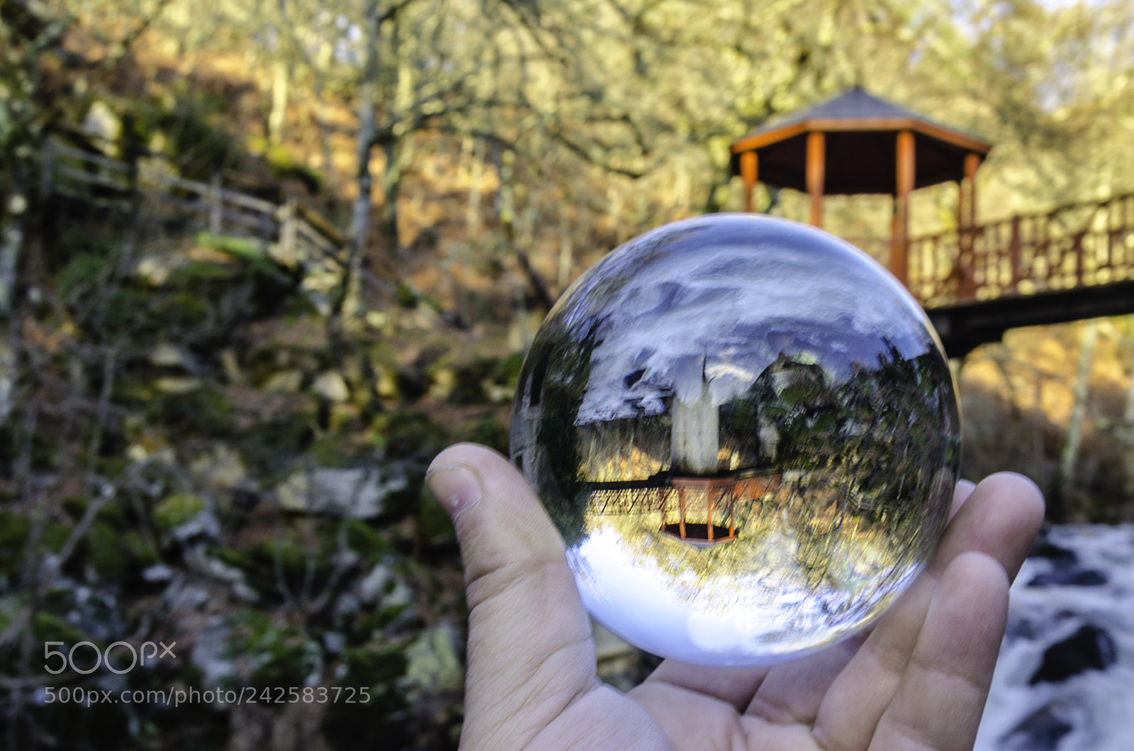 Nikon D5100 sample photo. The future belongs to photography