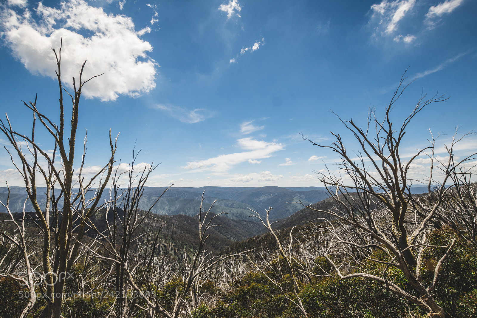 Nikon D7200 sample photo. Dargo high plains, looking photography