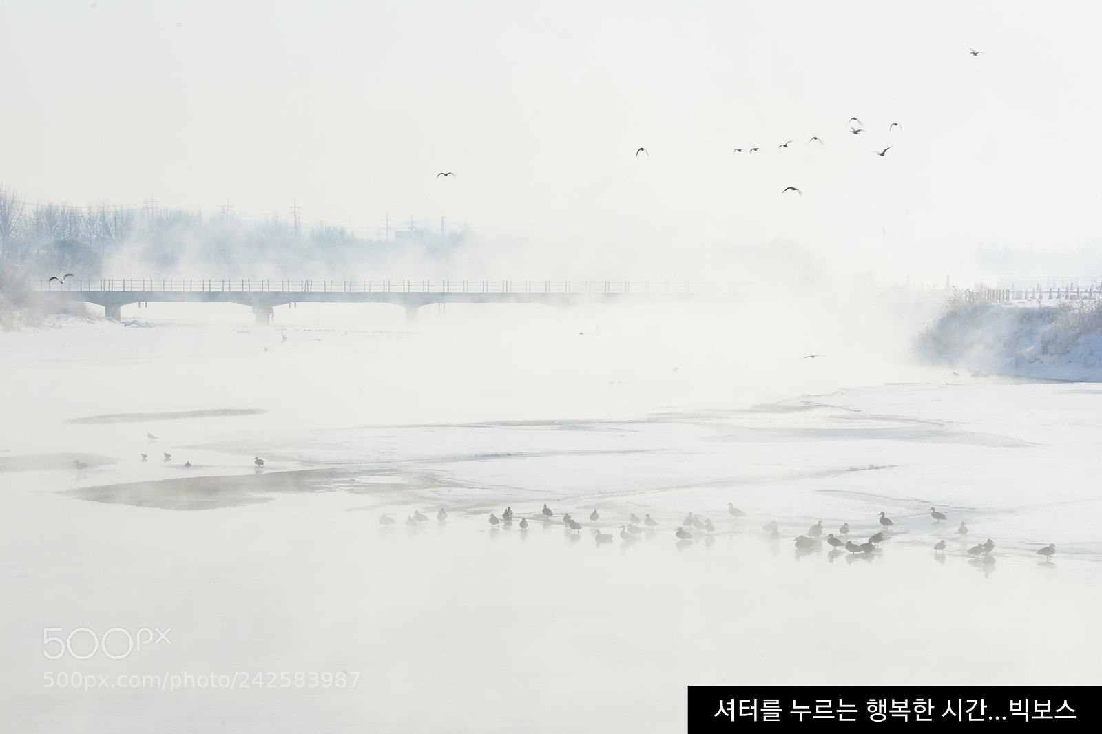 Sony SLT-A99V sample photo. Winter story 3 photography