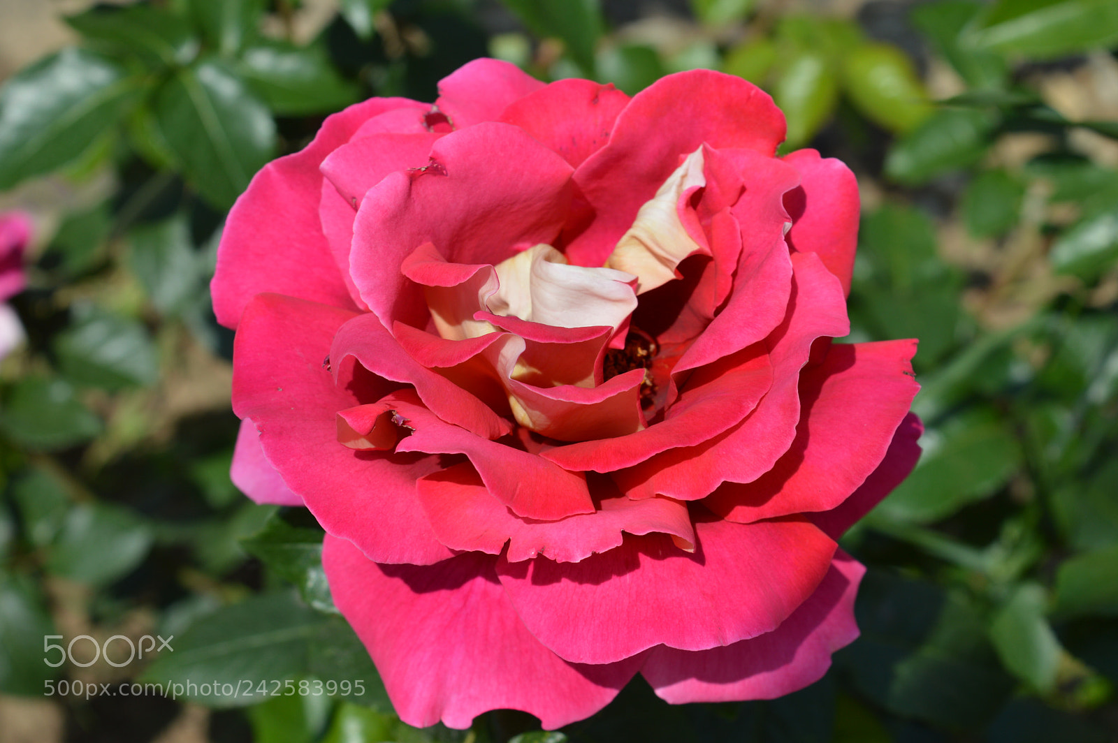 Nikon D3200 sample photo. Untitled photography