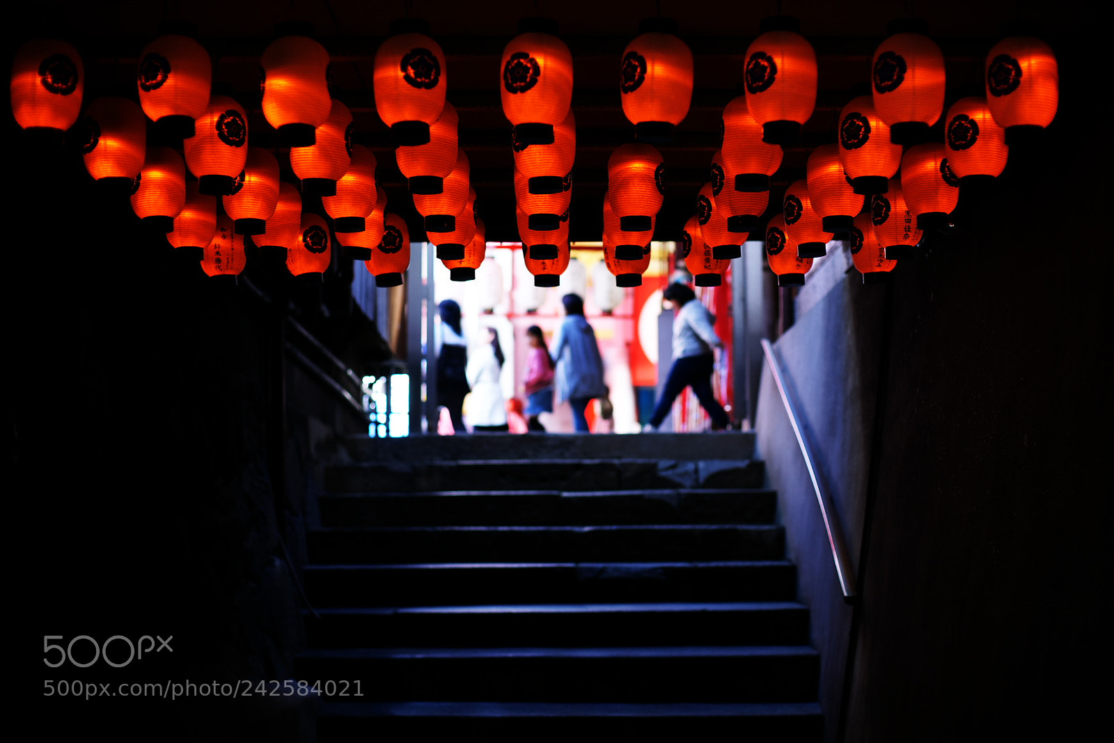 Sony Alpha DSLR-A900 sample photo. Jpgslk photography
