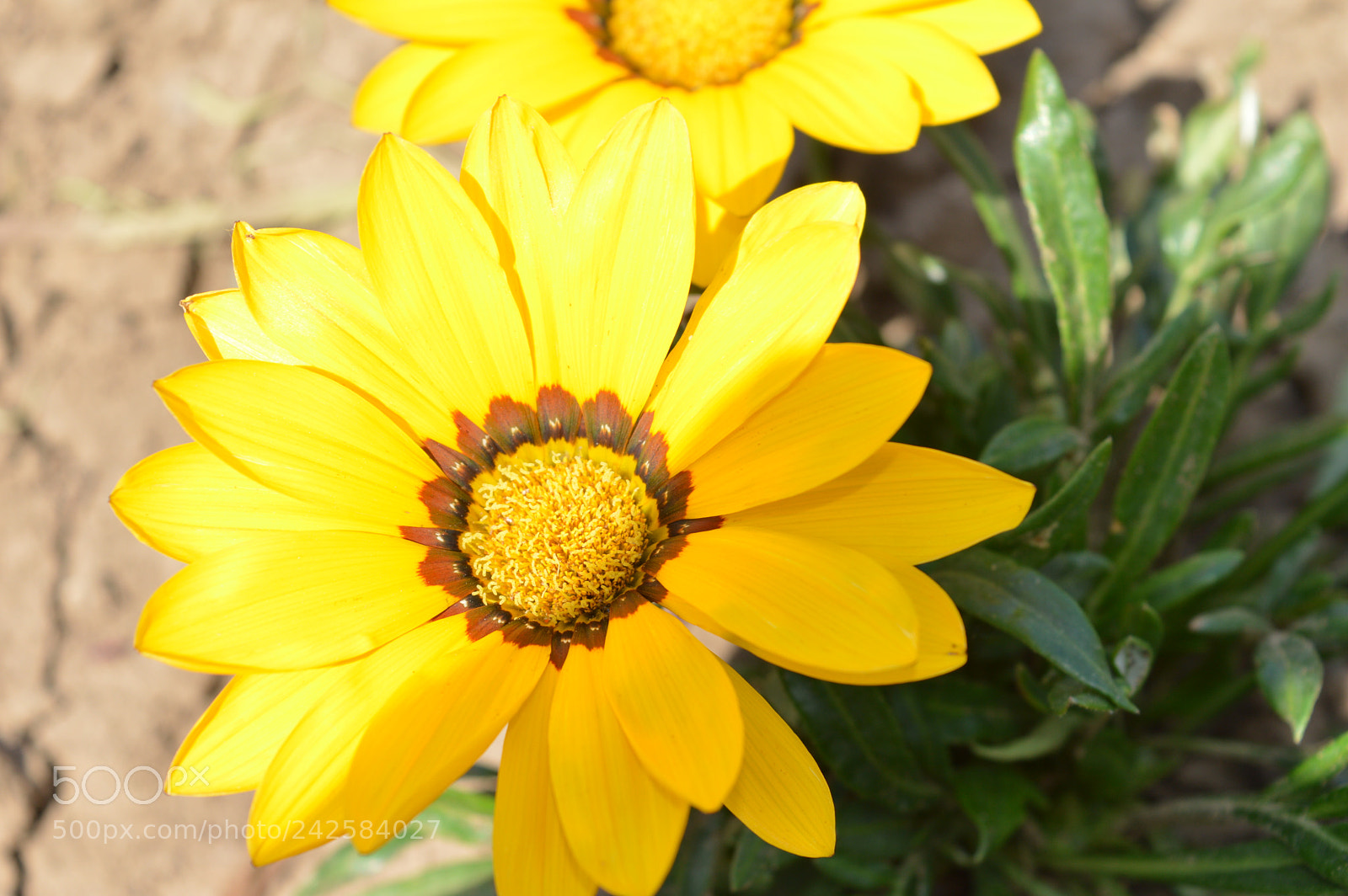 Nikon D3200 sample photo. Untitled photography