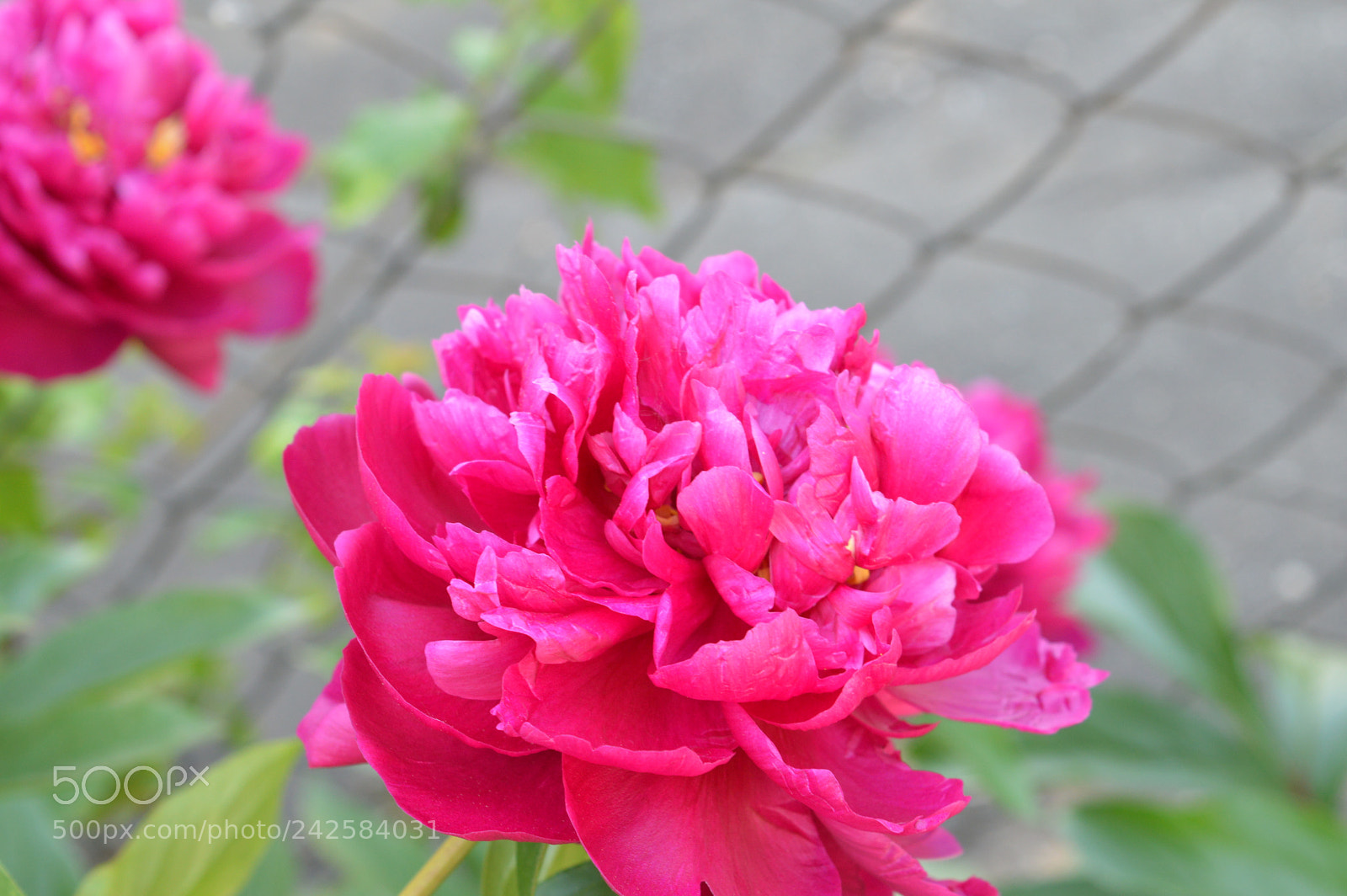 Nikon D3200 sample photo. Untitled photography