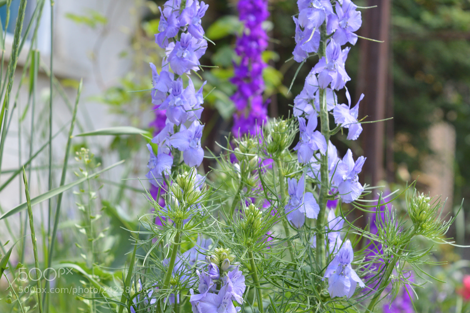 Nikon D3200 sample photo. Untitled photography