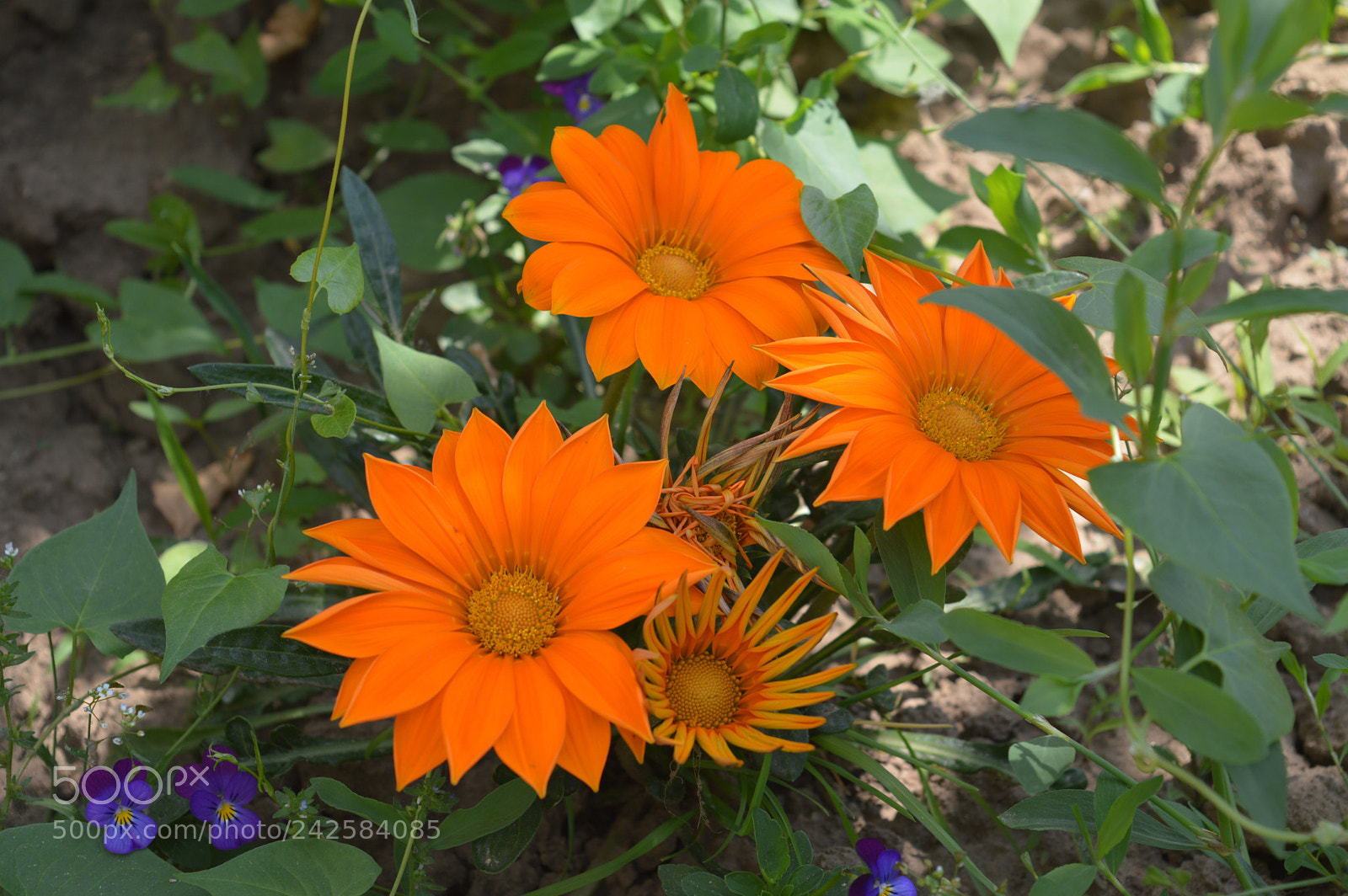 Nikon D3200 sample photo. Untitled photography