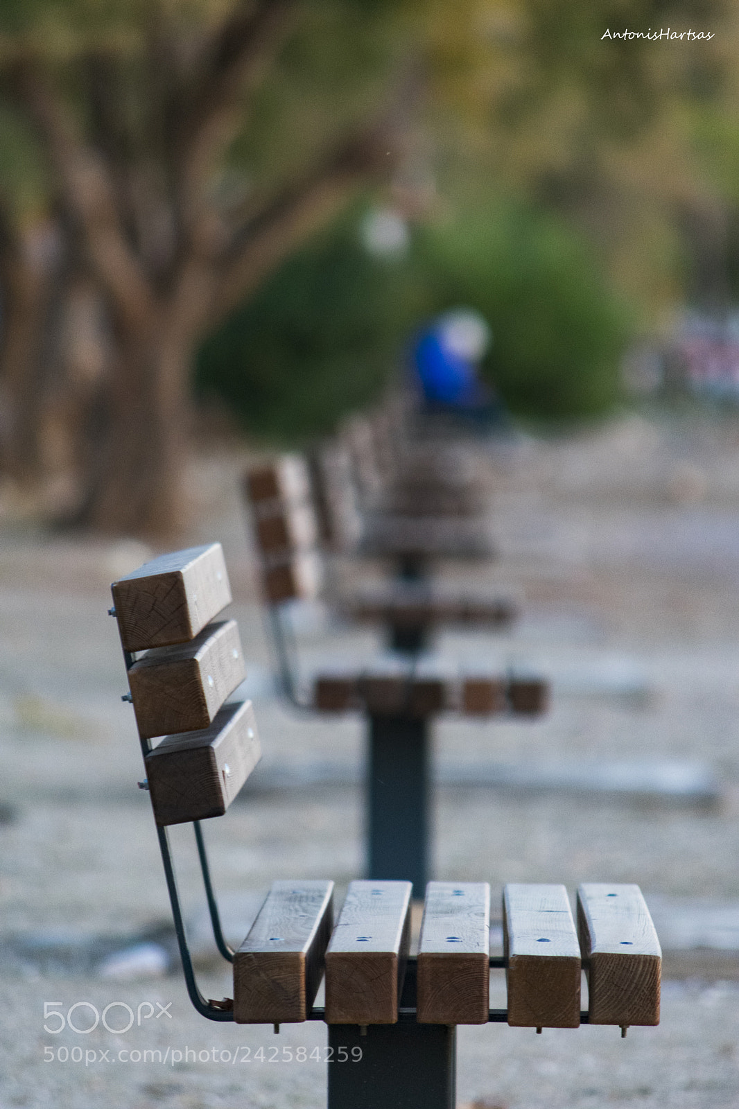 Nikon D3400 sample photo. Untitled photography