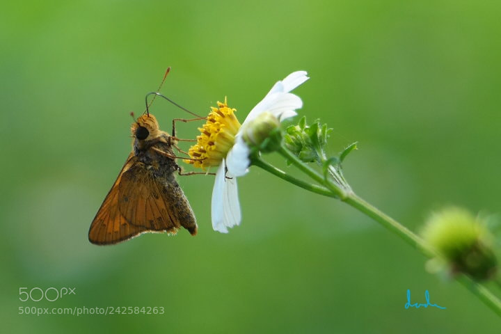 Samsung NX30 sample photo. Slrup...enjoy the life photography