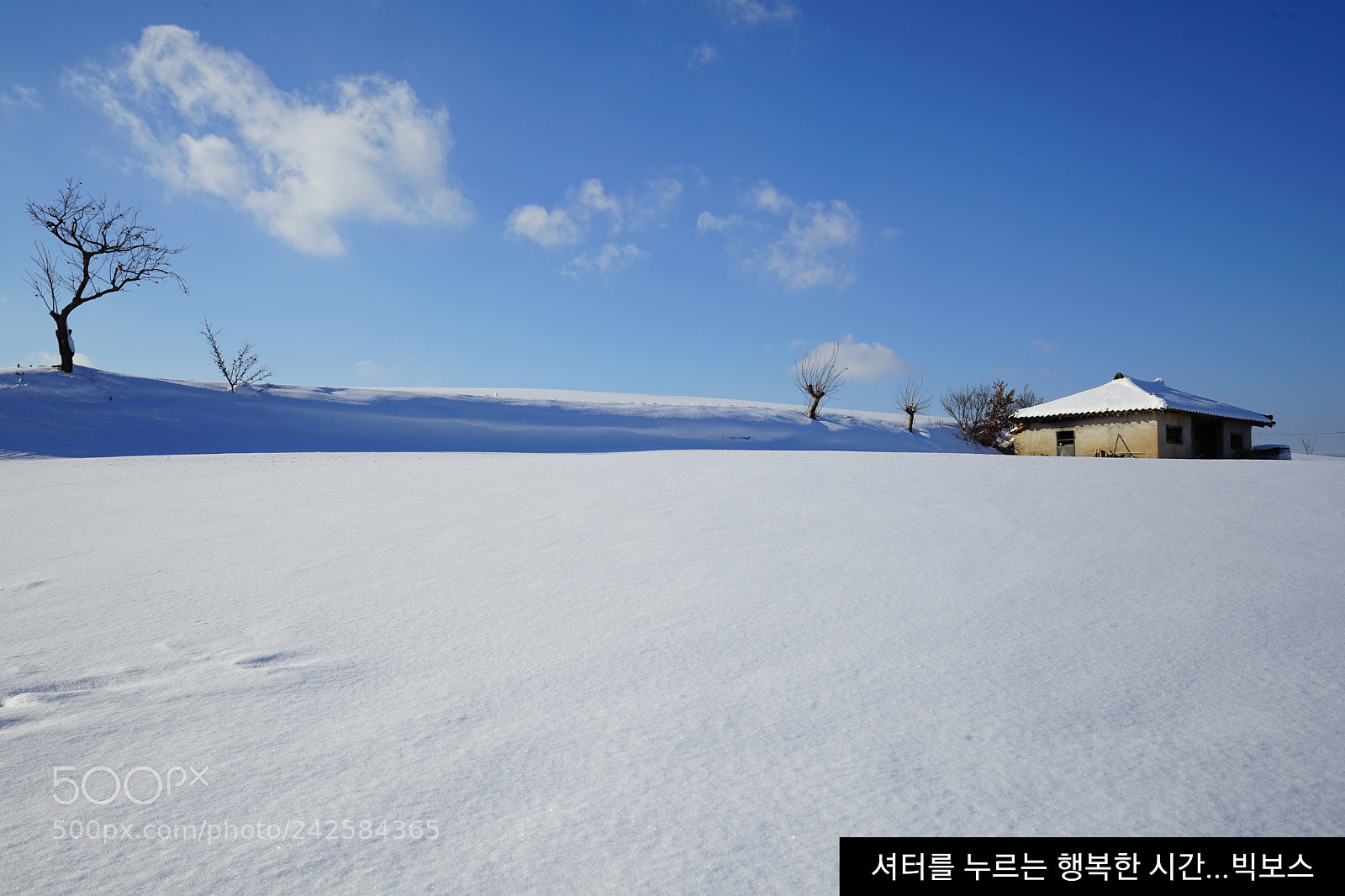 Sony a7 II sample photo. Winter story 5 photography
