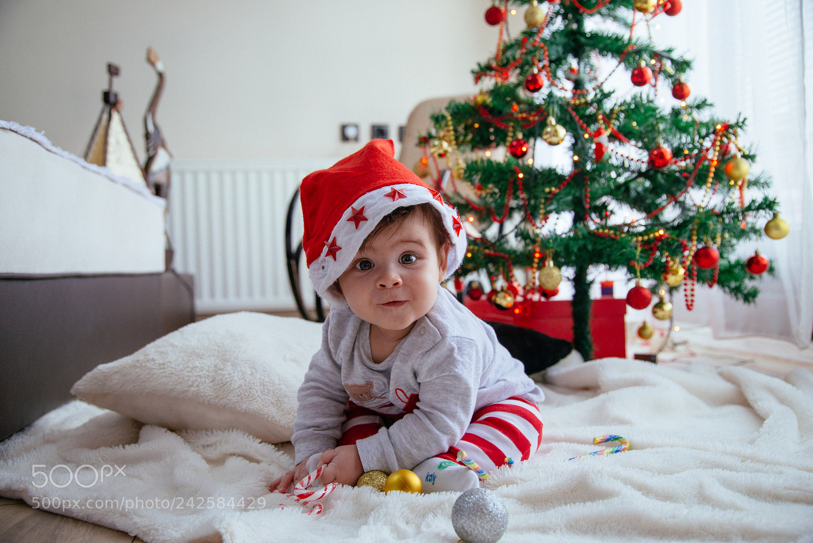 Nikon D610 sample photo. Paki photography