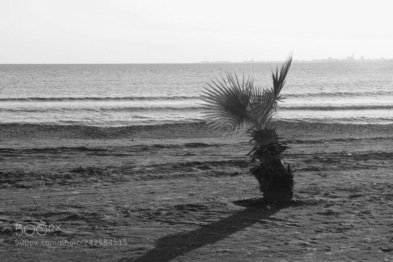Pentax K-3 II sample photo. Beach photography