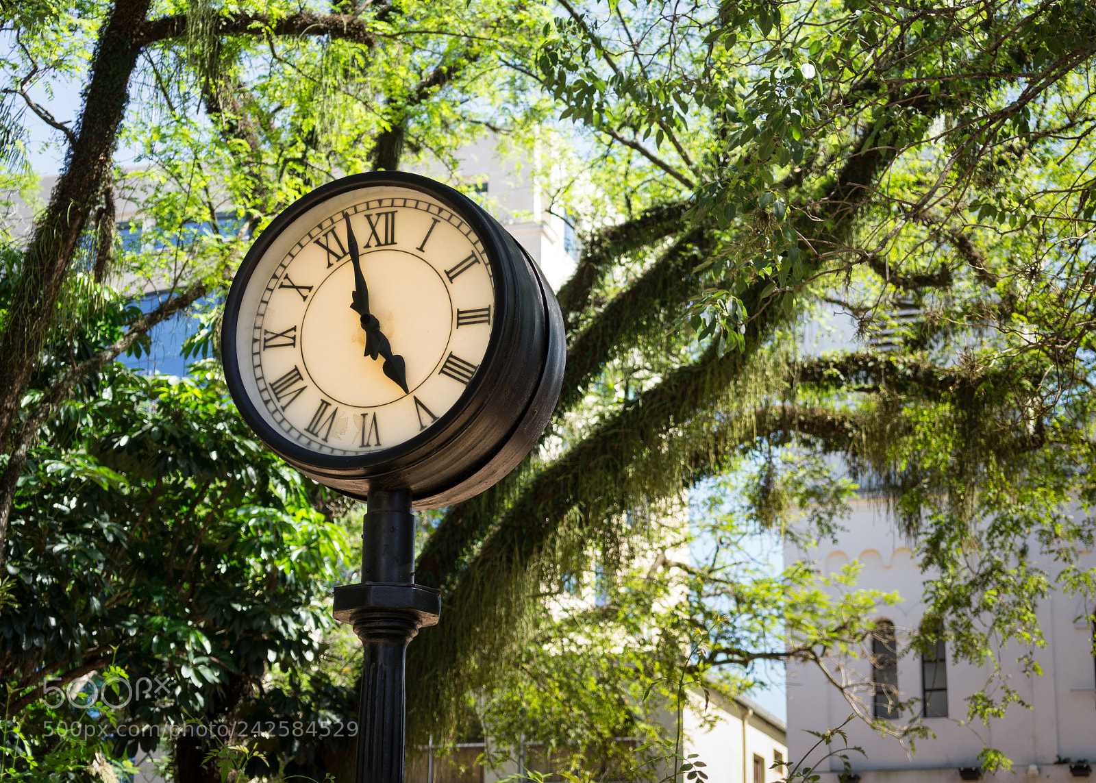 Sony Alpha a3500 sample photo. Vintage clock photography