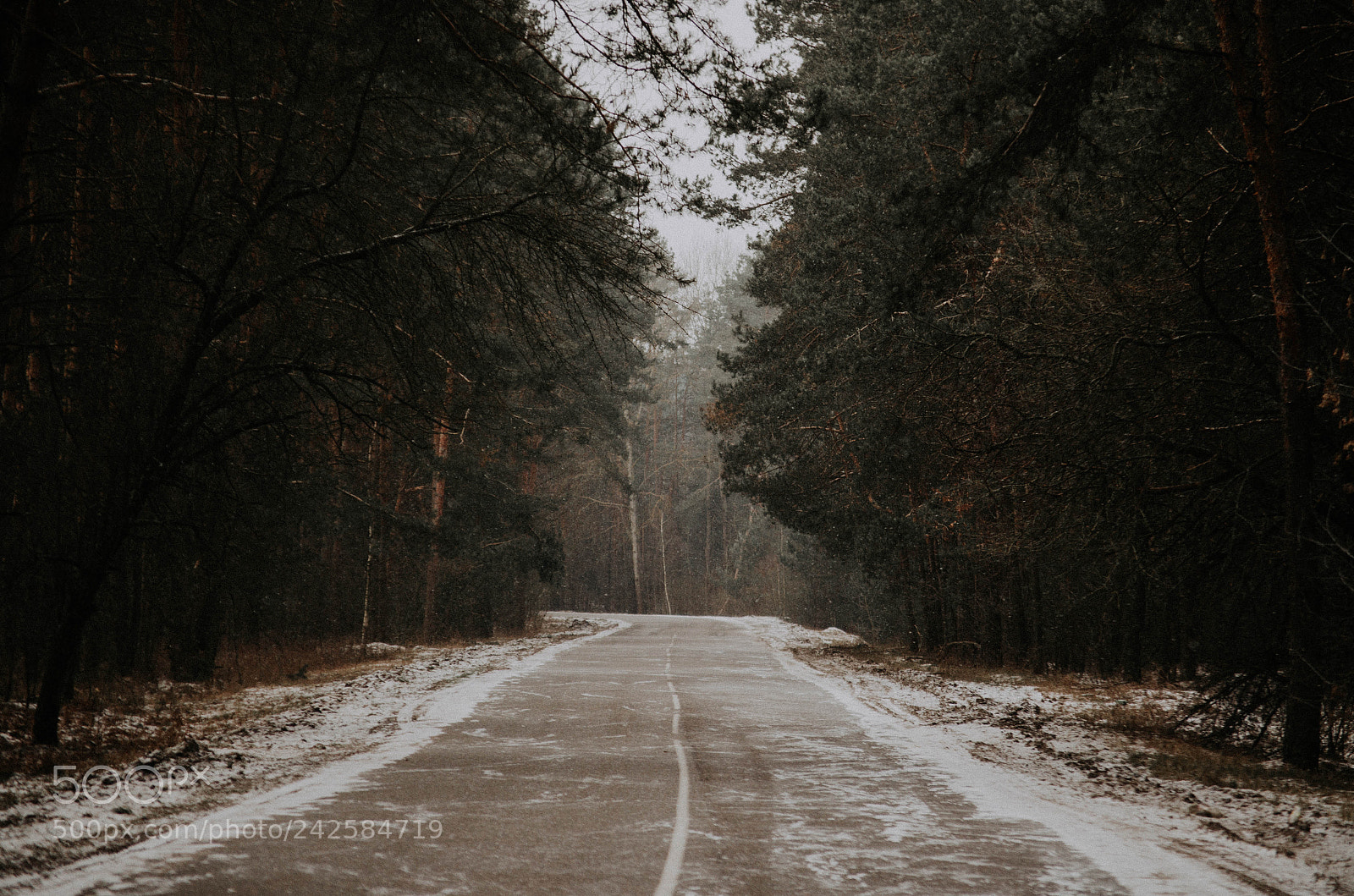 Nikon D5100 sample photo. Country road photography