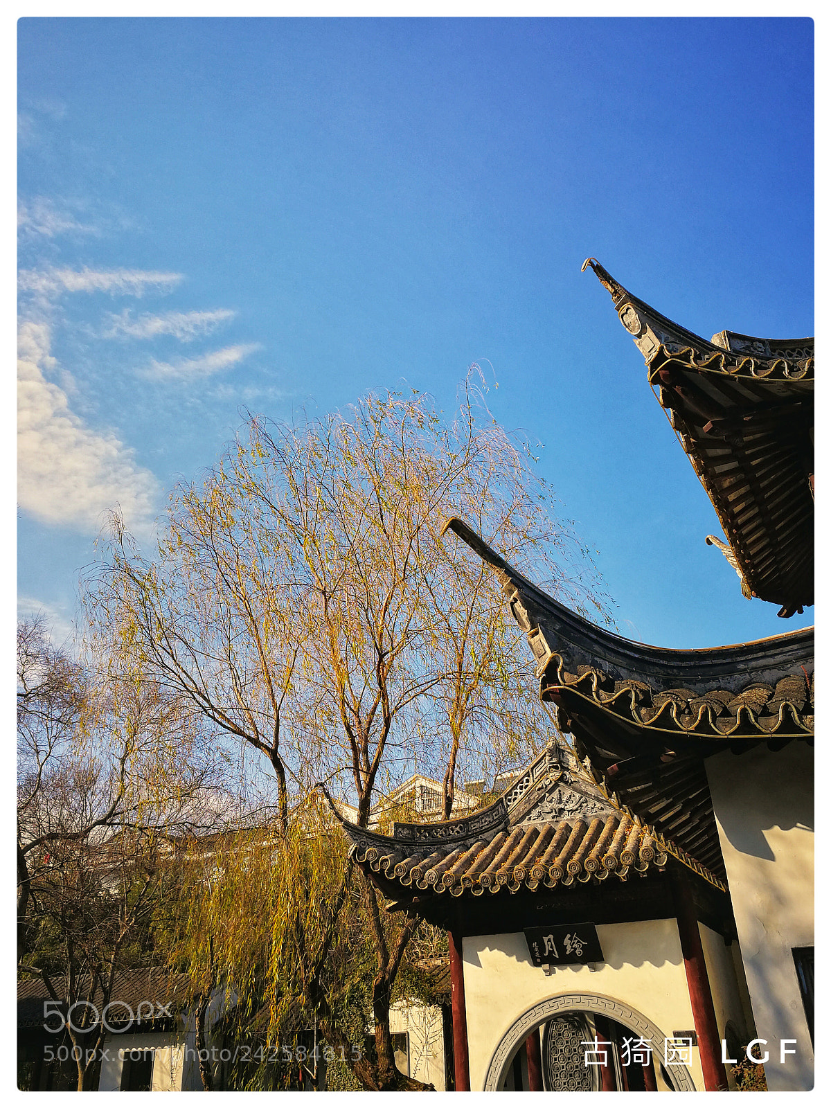 HUAWEI Mate 9 sample photo. Wintersweet guyi garden photography