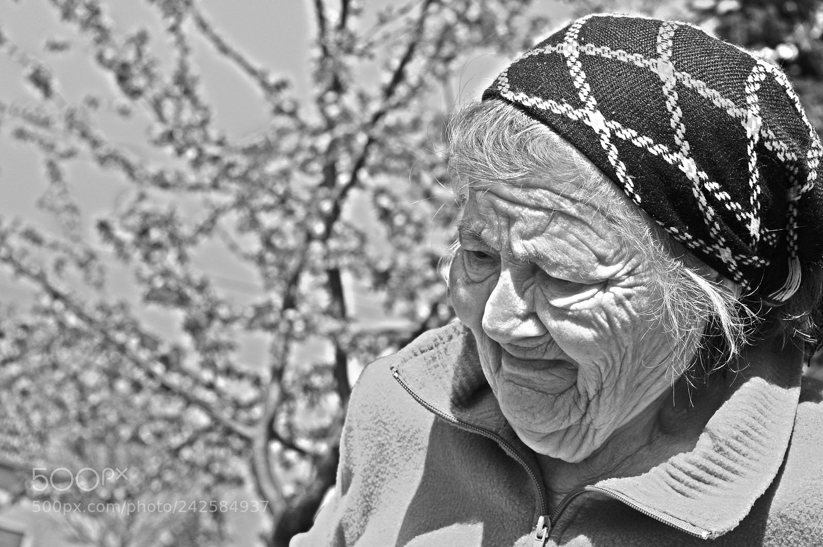 Nikon D3200 sample photo. 34883151813.jpg photography