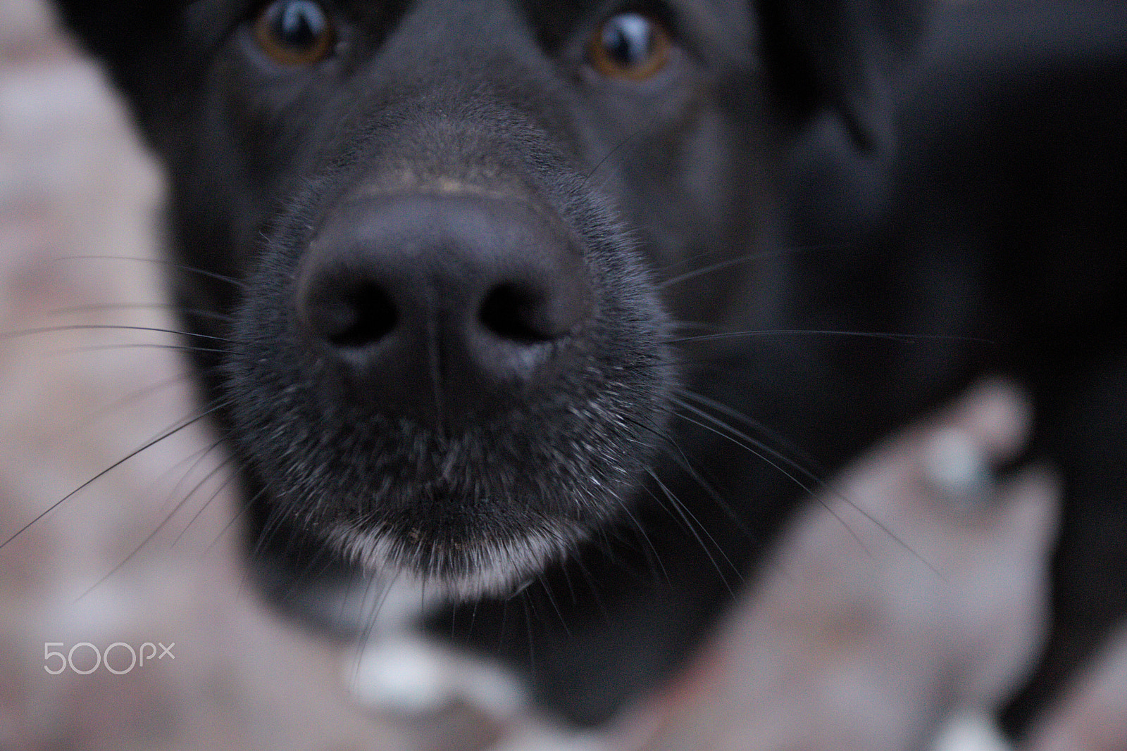 Canon EF 17-40mm F4L USM sample photo. ... photography