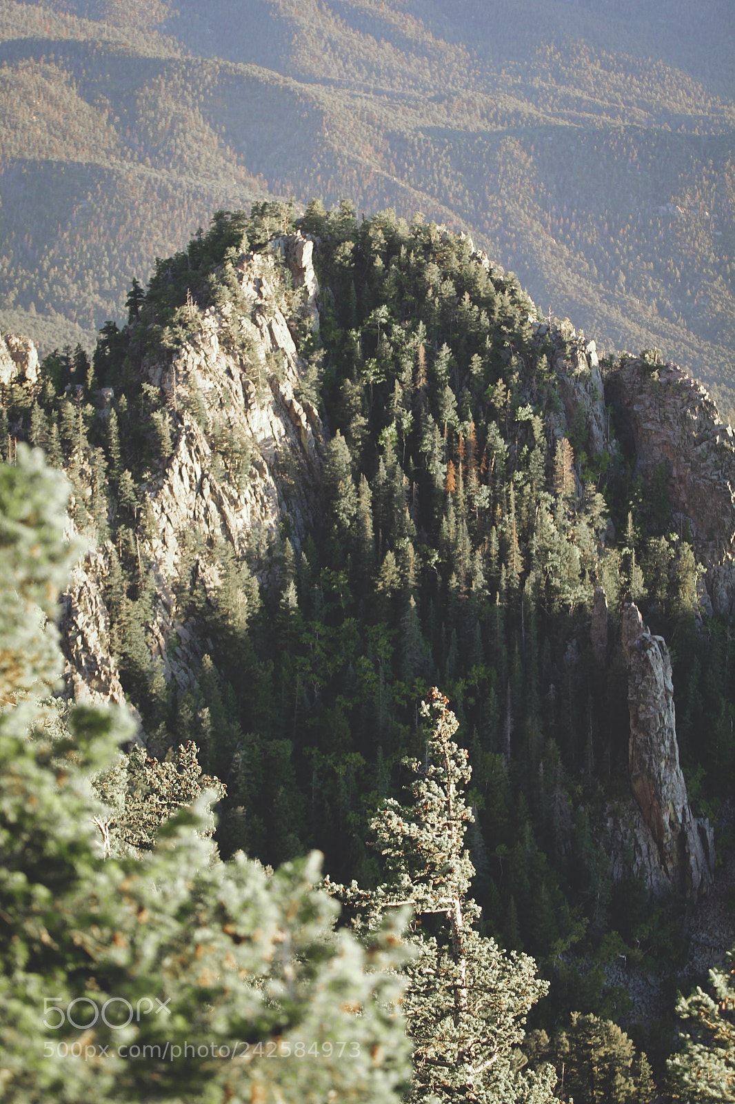 Canon EOS 60D sample photo. Sandia mountains 10,679 photography