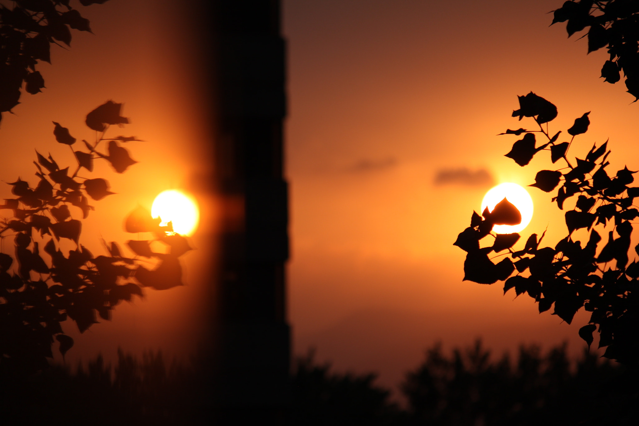 Canon EF-S 55-250mm F4-5.6 IS sample photo. Reflection photography