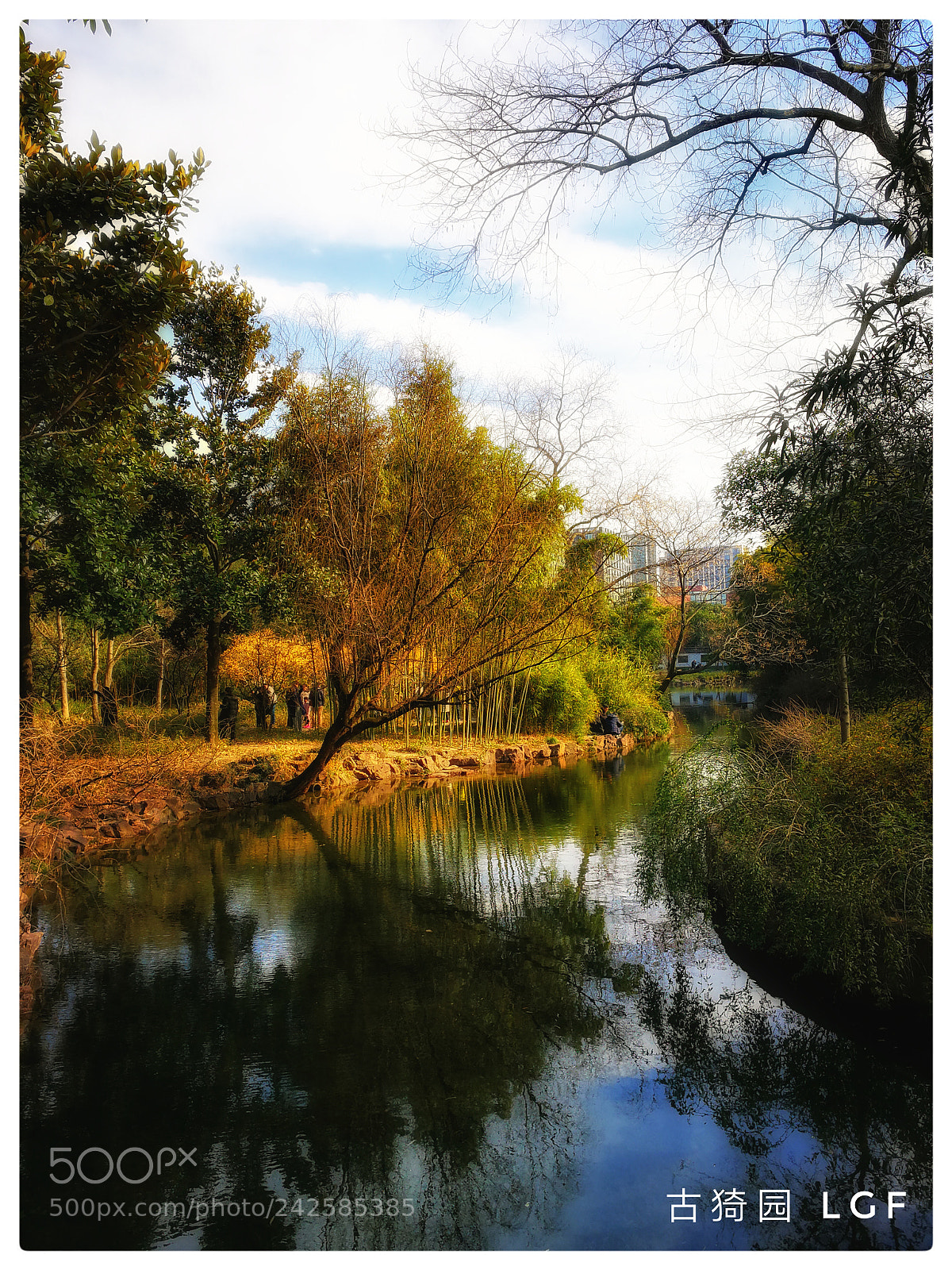 HUAWEI Mate 9 sample photo. Wintersweet guyi garden photography