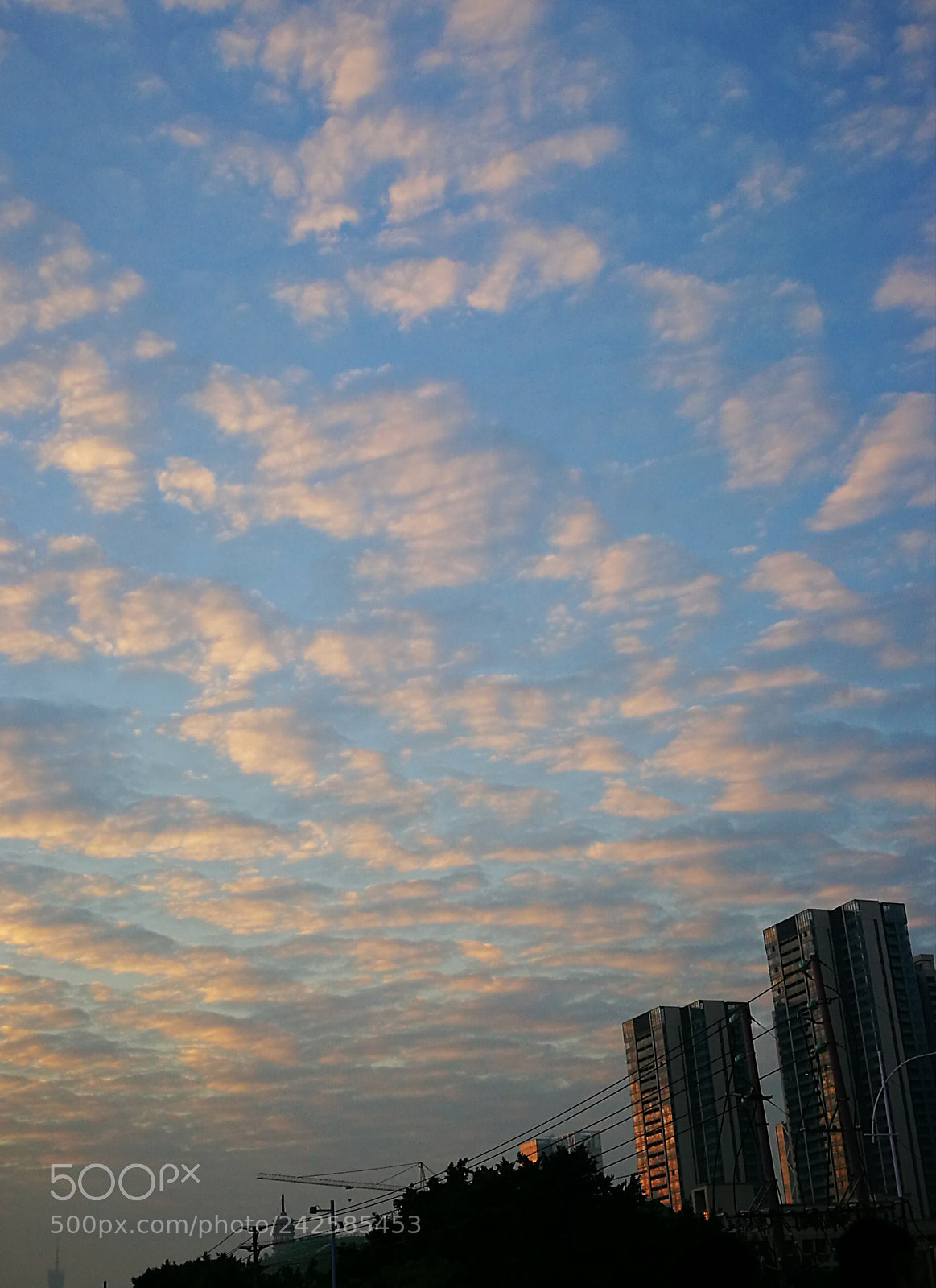 HUAWEI P9 sample photo. 绵绵思恋 photography