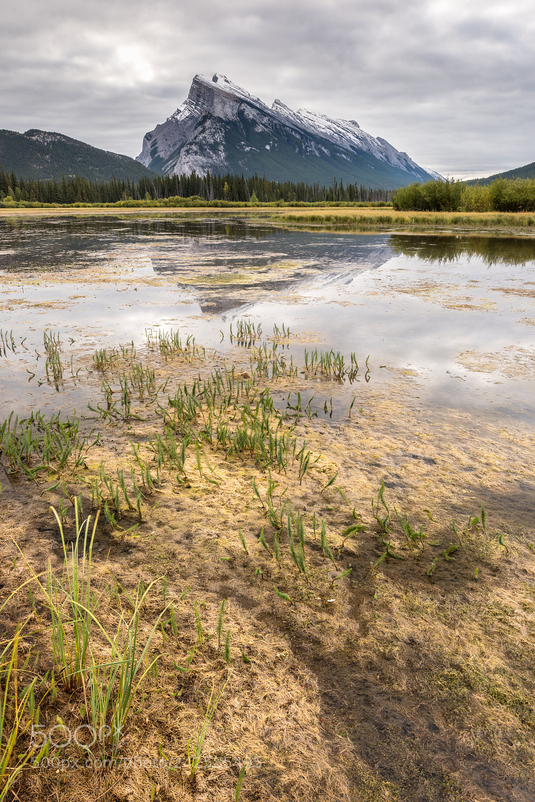 Nikon D810 sample photo. Vermillion lakes #1 photography