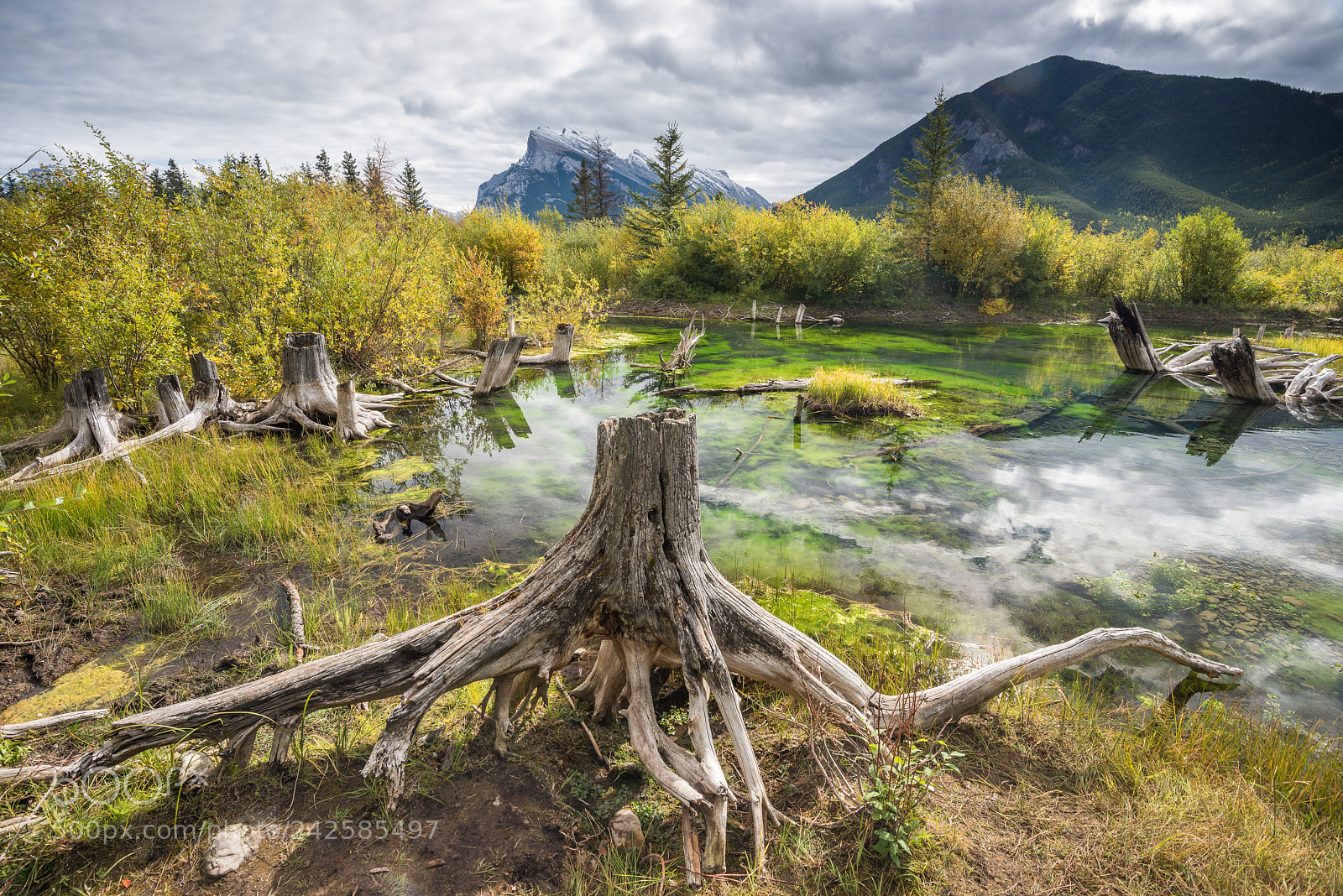 Nikon D810 sample photo. Vermillion lakes #2 photography