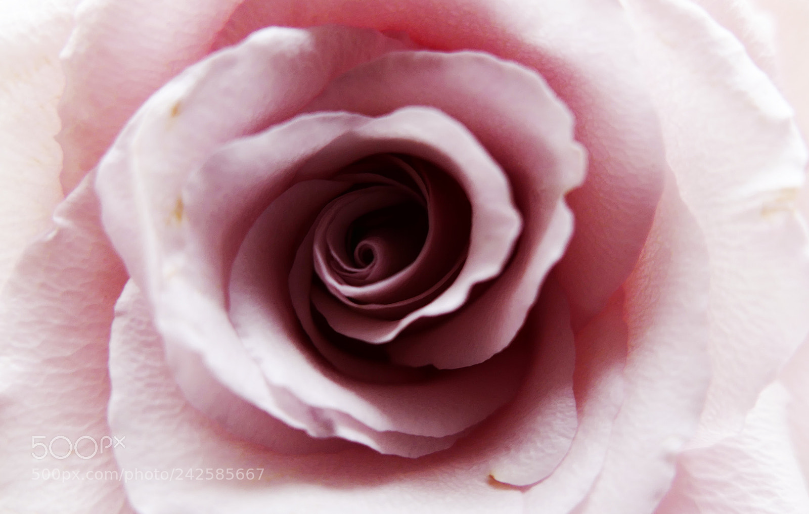 Panasonic Lumix DMC-FZ1000 sample photo. Magnificent photography