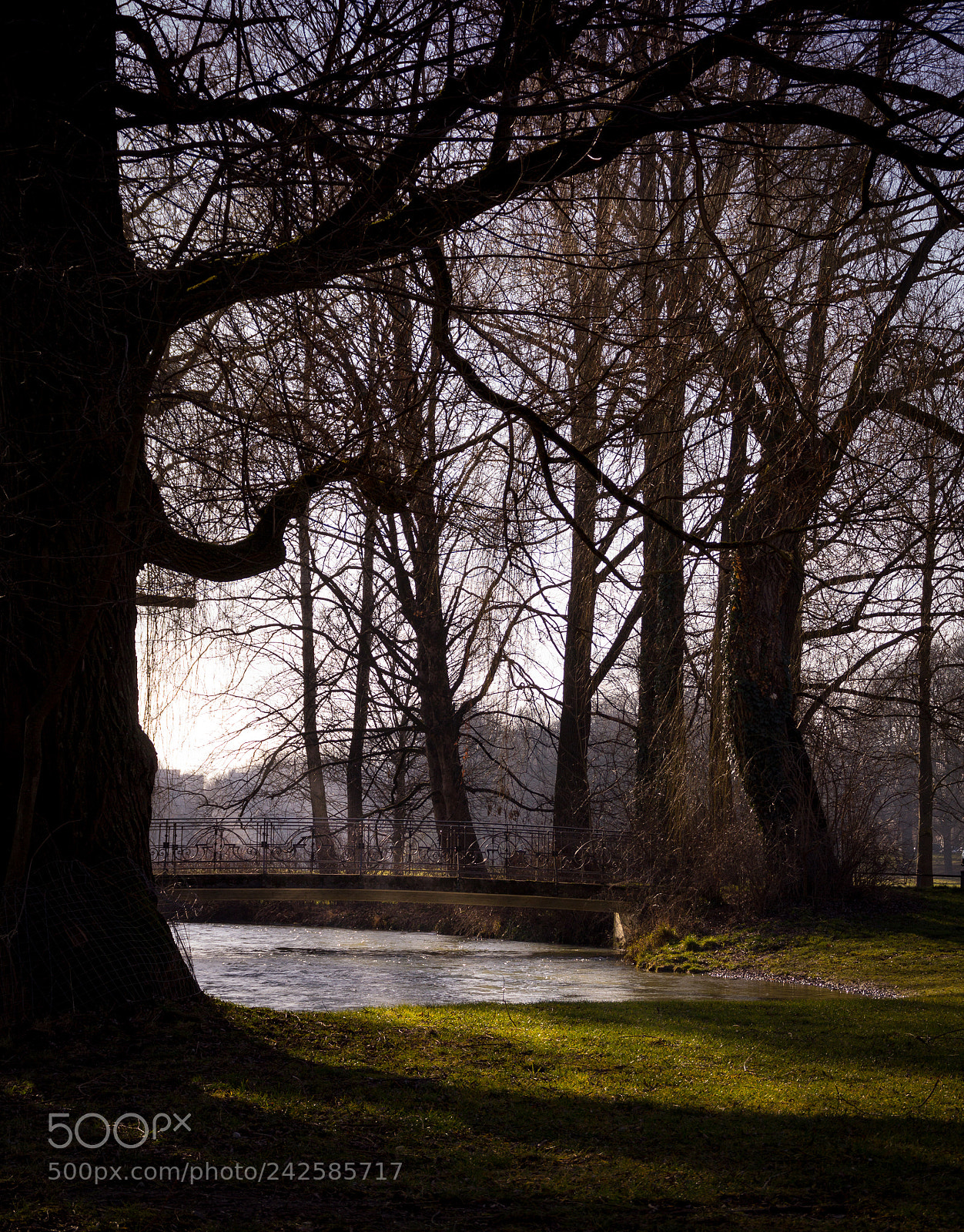 Canon EOS 60D sample photo. A bridge in the photography