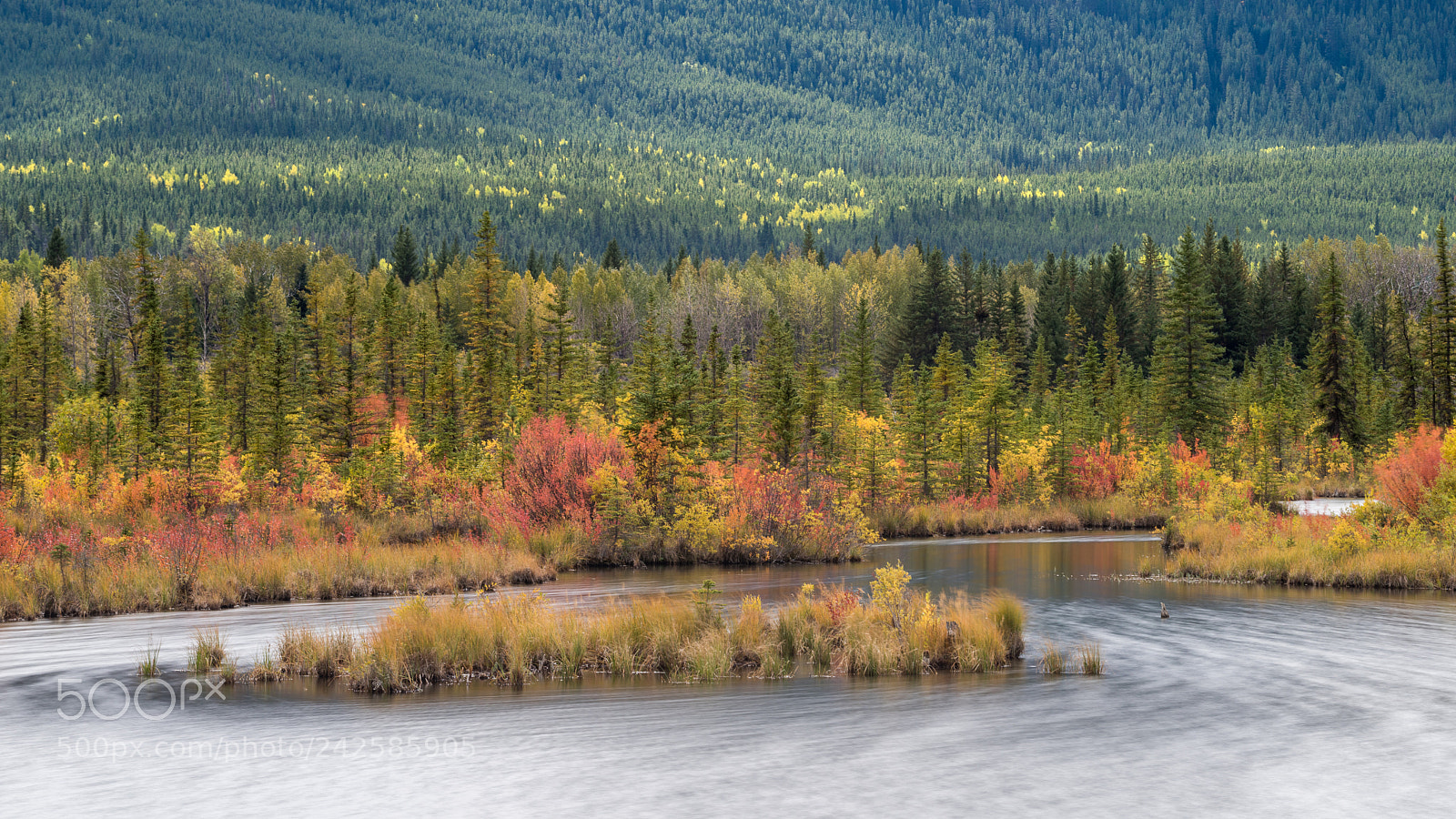 Nikon D810 sample photo. Vermillion lakes #4 photography