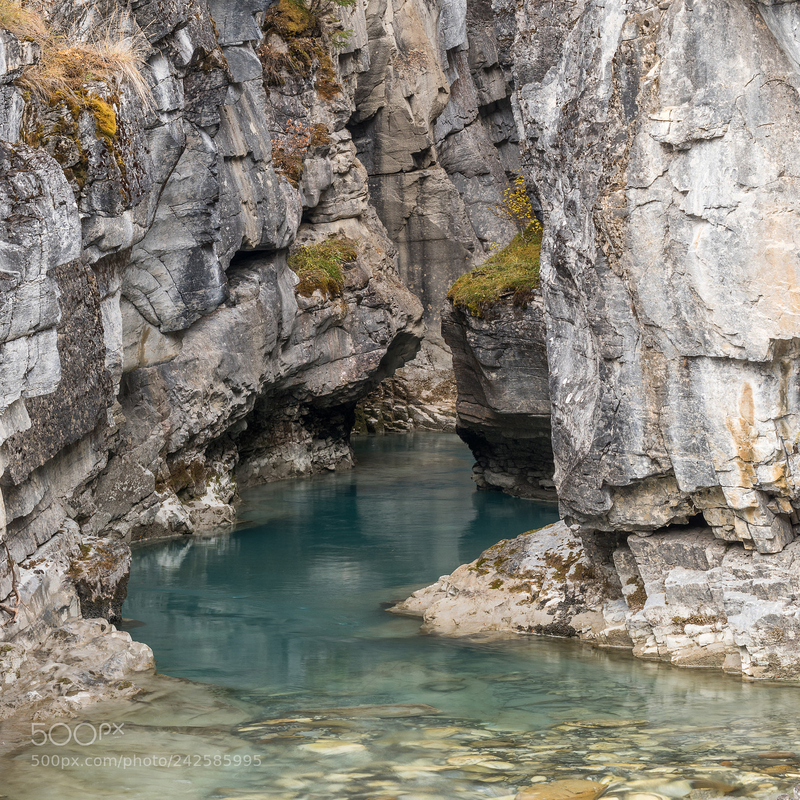 Nikon D810 sample photo. Marble canyon #1 photography