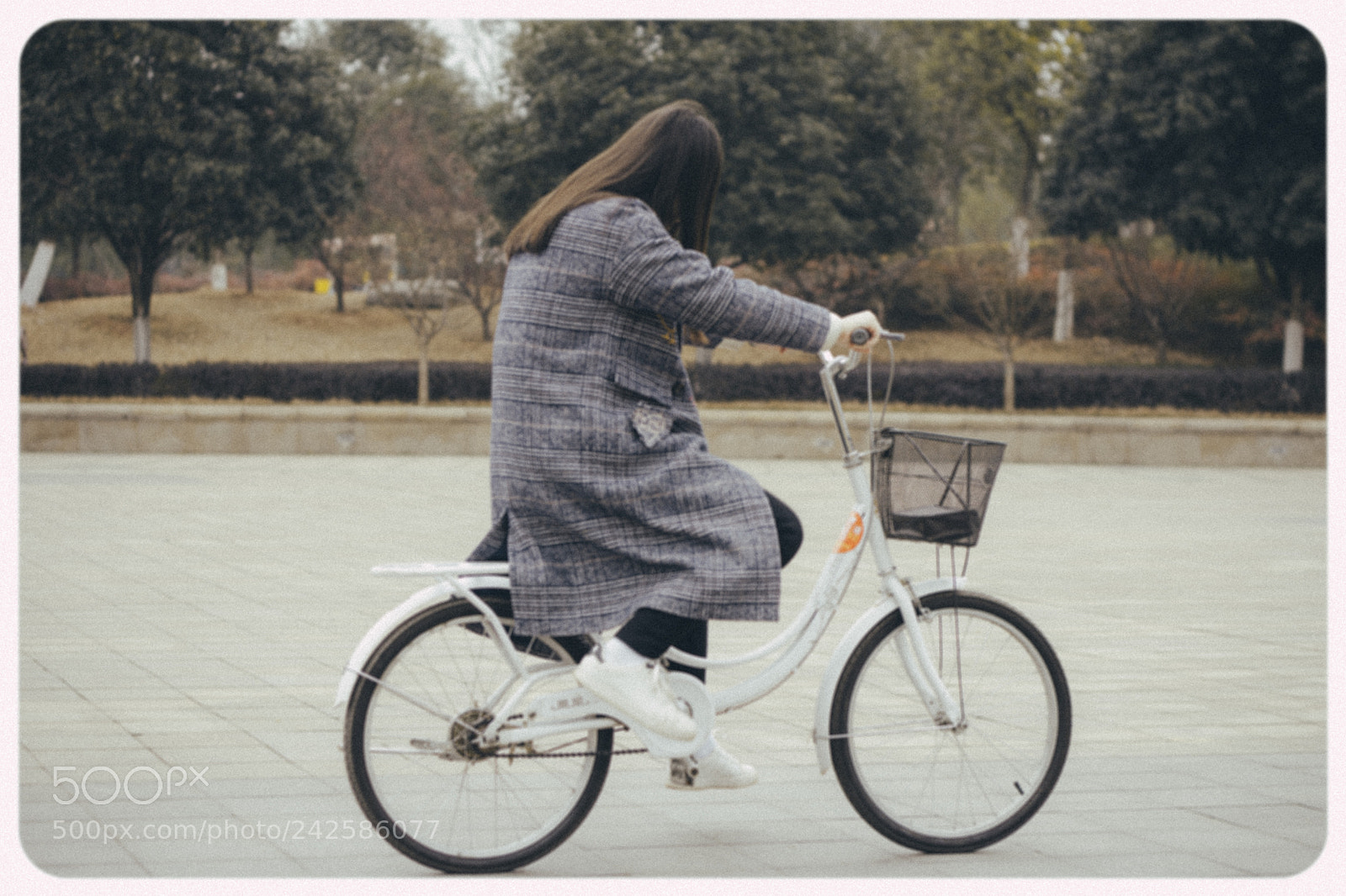 Canon EOS 60D sample photo. Street snap photography