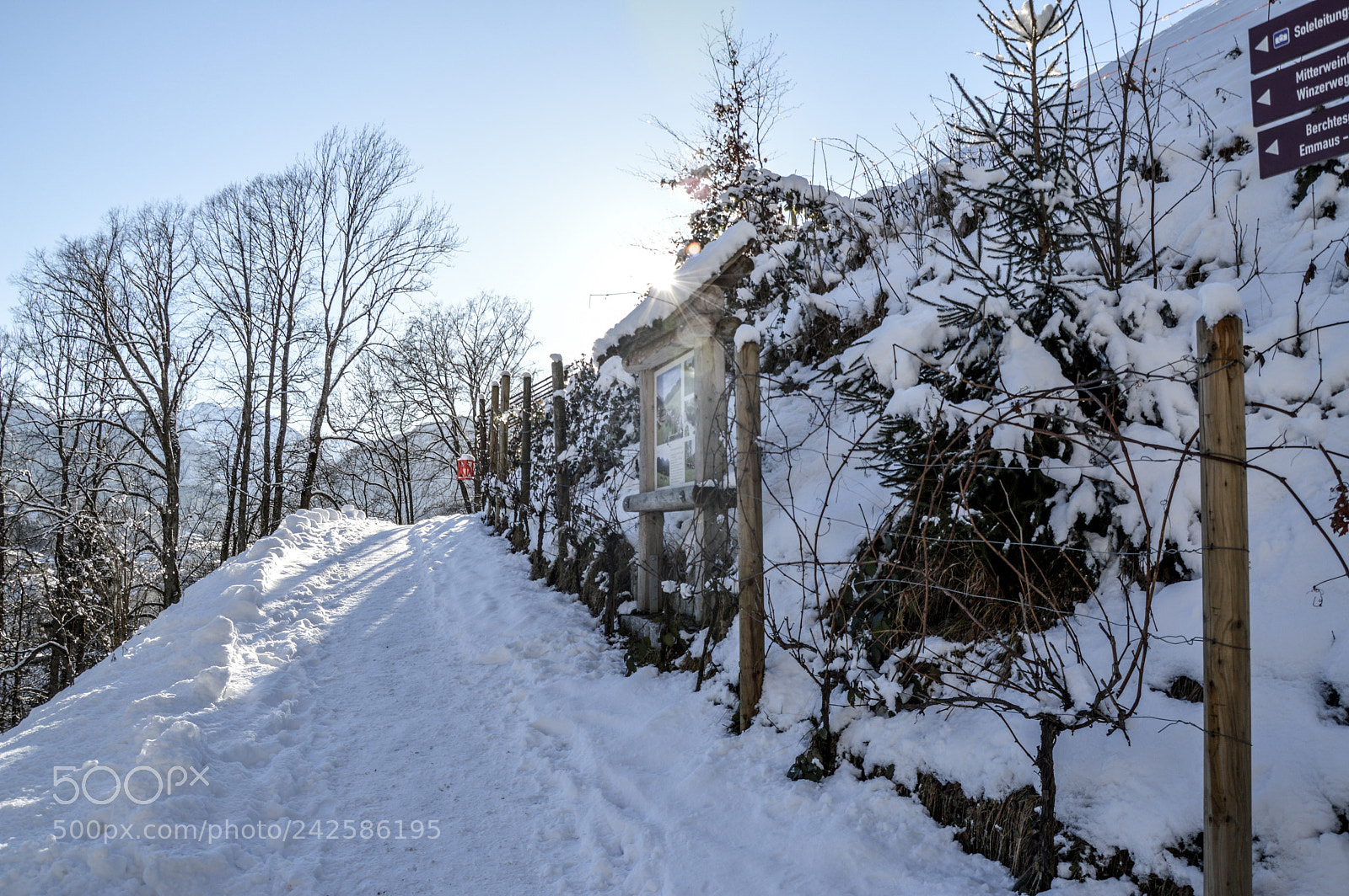 Nikon D3200 sample photo. Soleleitungsweg berchtesgaden photography