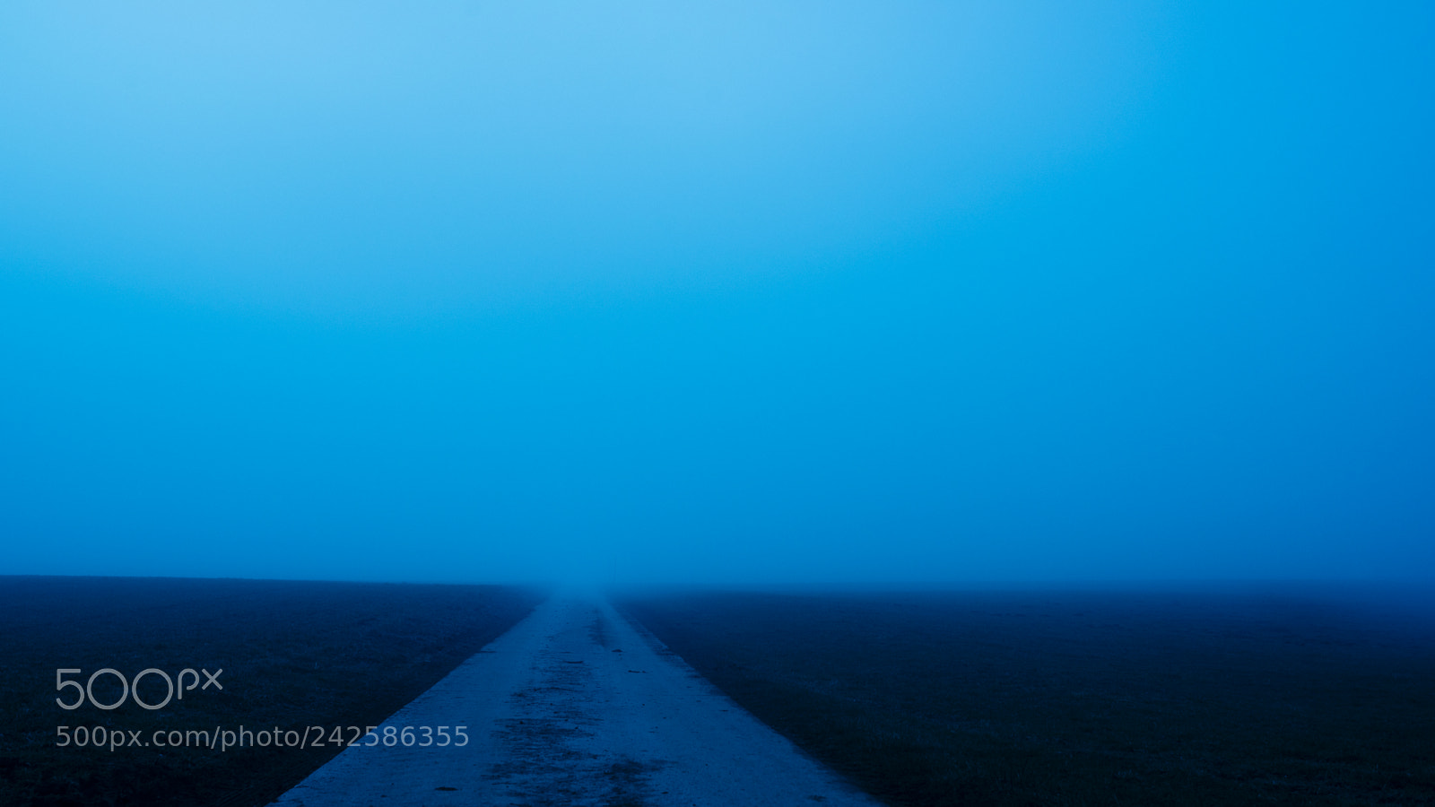 Nikon D750 sample photo. Road in the mist photography