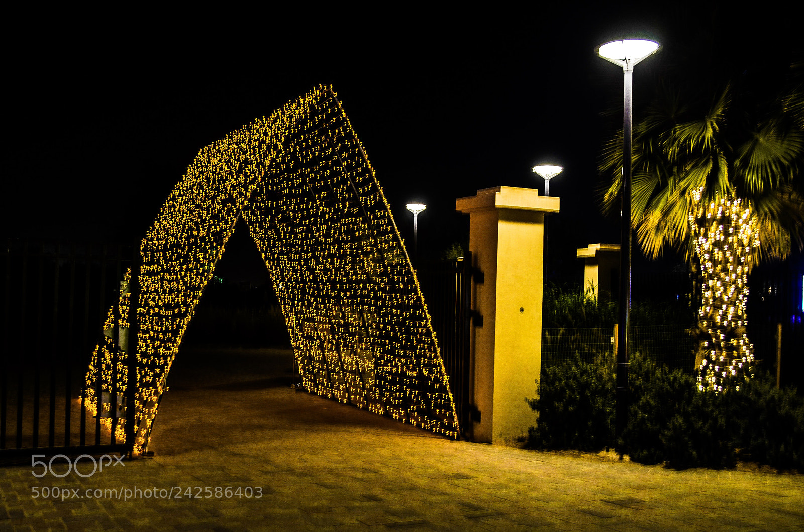 Nikon D5100 sample photo. Al ain zoo photography