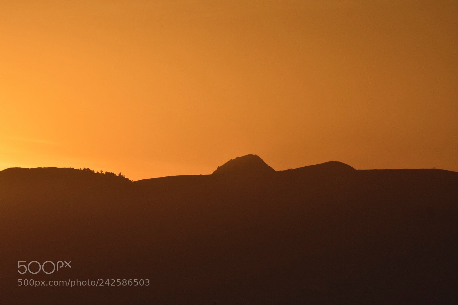 Nikon D7200 sample photo. The evening sunset photography