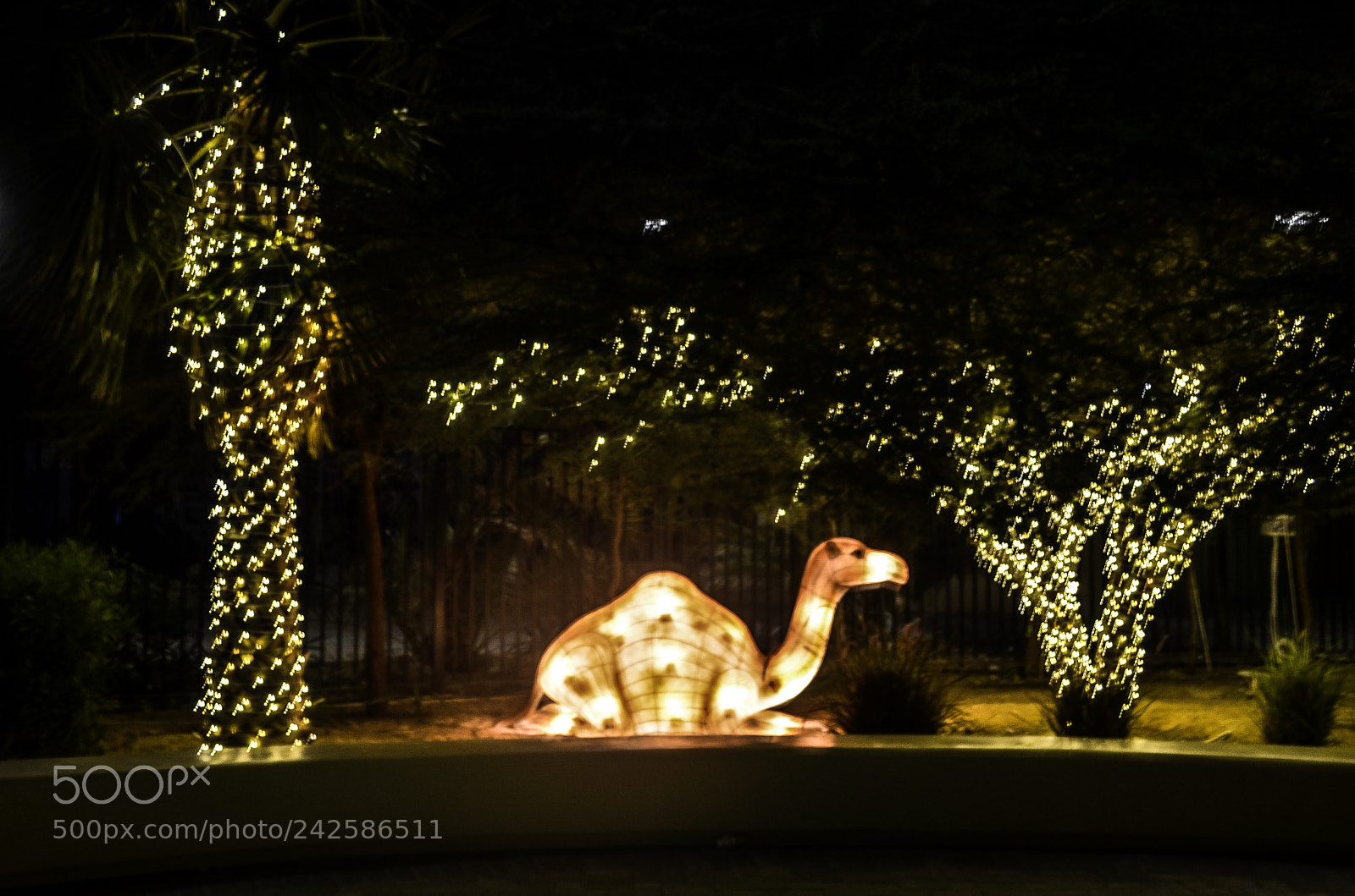 Nikon D5100 sample photo. Al ain zoo photography
