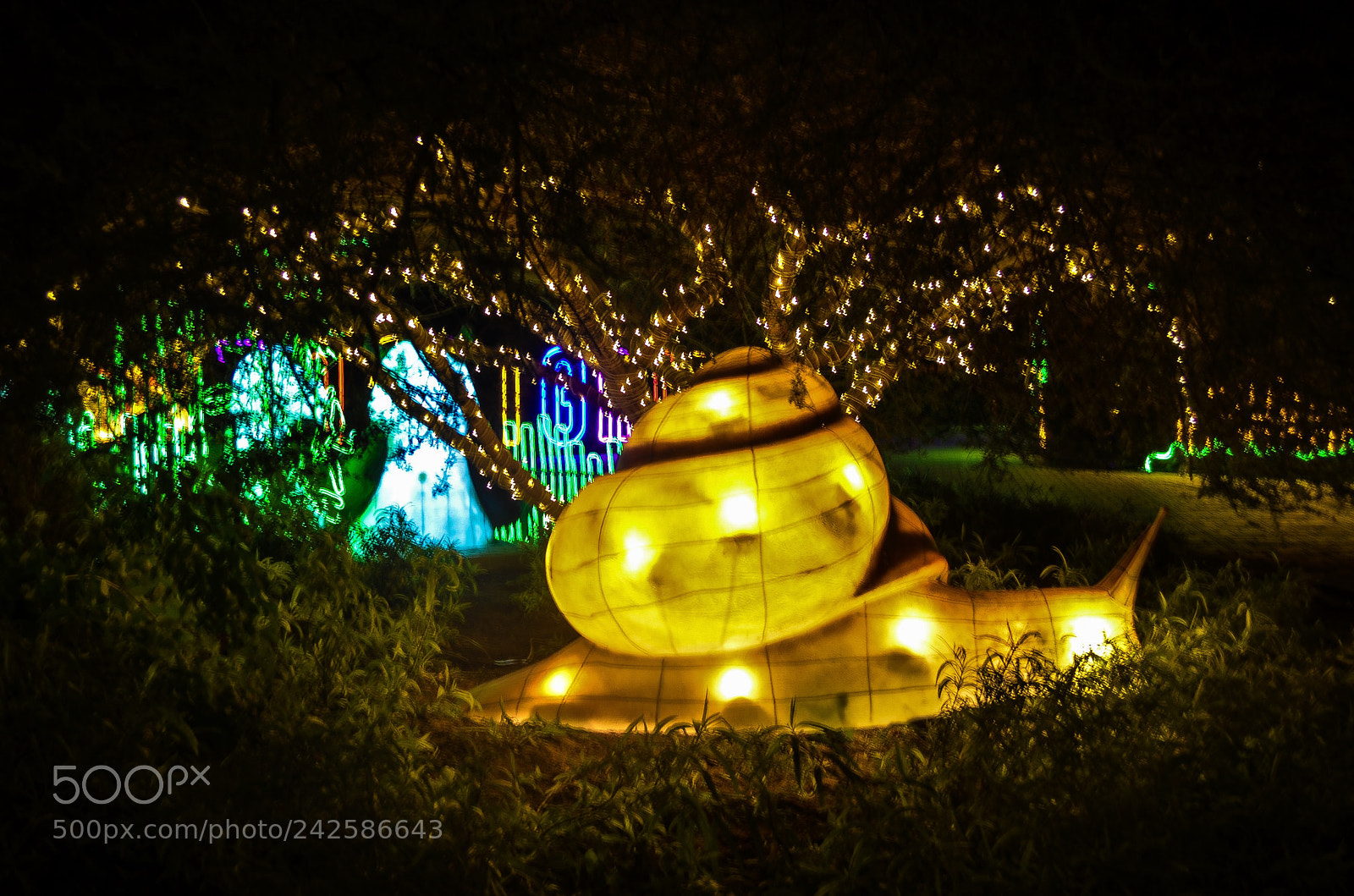 Nikon D5100 sample photo. Al ain zoo photography
