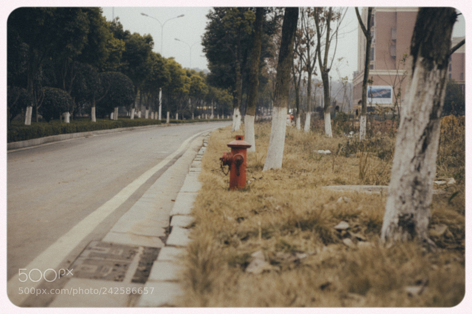 Canon EOS 60D sample photo. Street snap photography